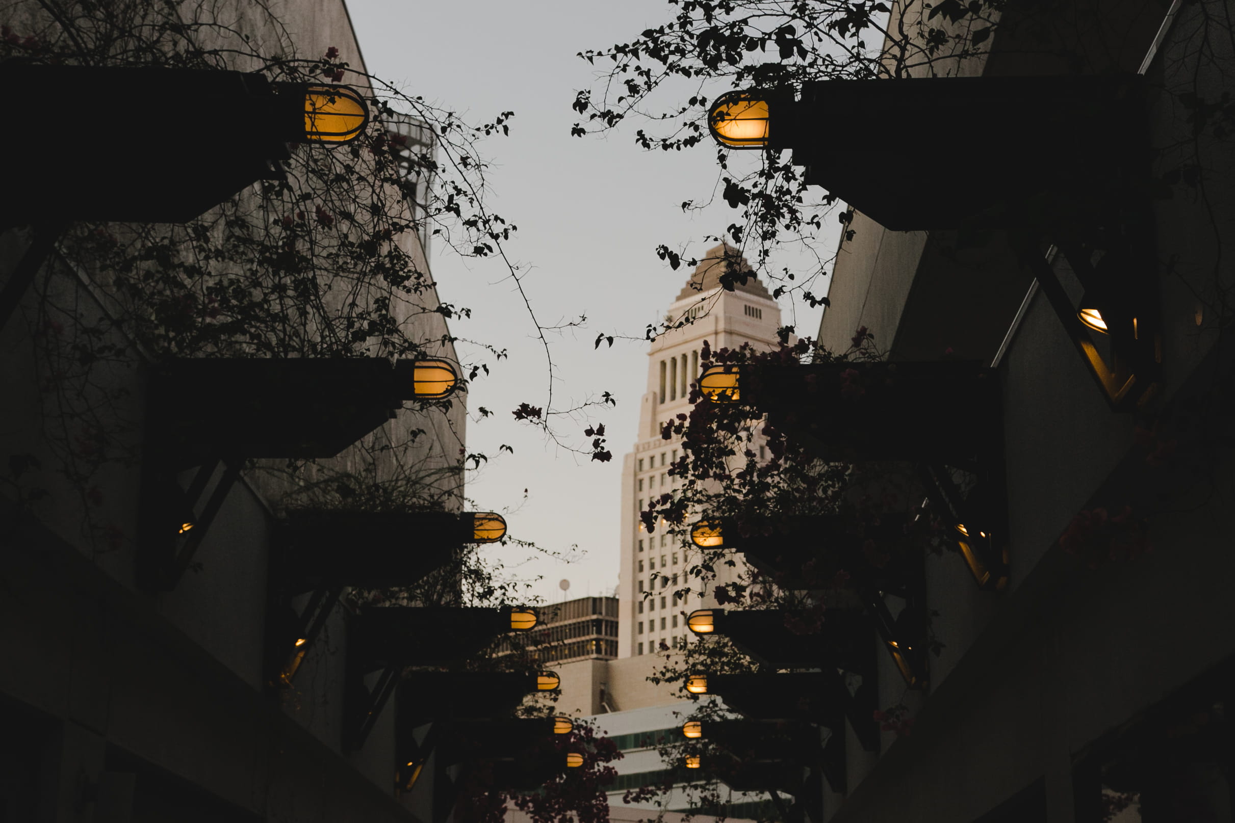 tall - high, sky, motor vehicle, symmetrical, plants, city life, building exterior, building, mode of transportation, lighting equipment, residential district, HD Wallpaper
