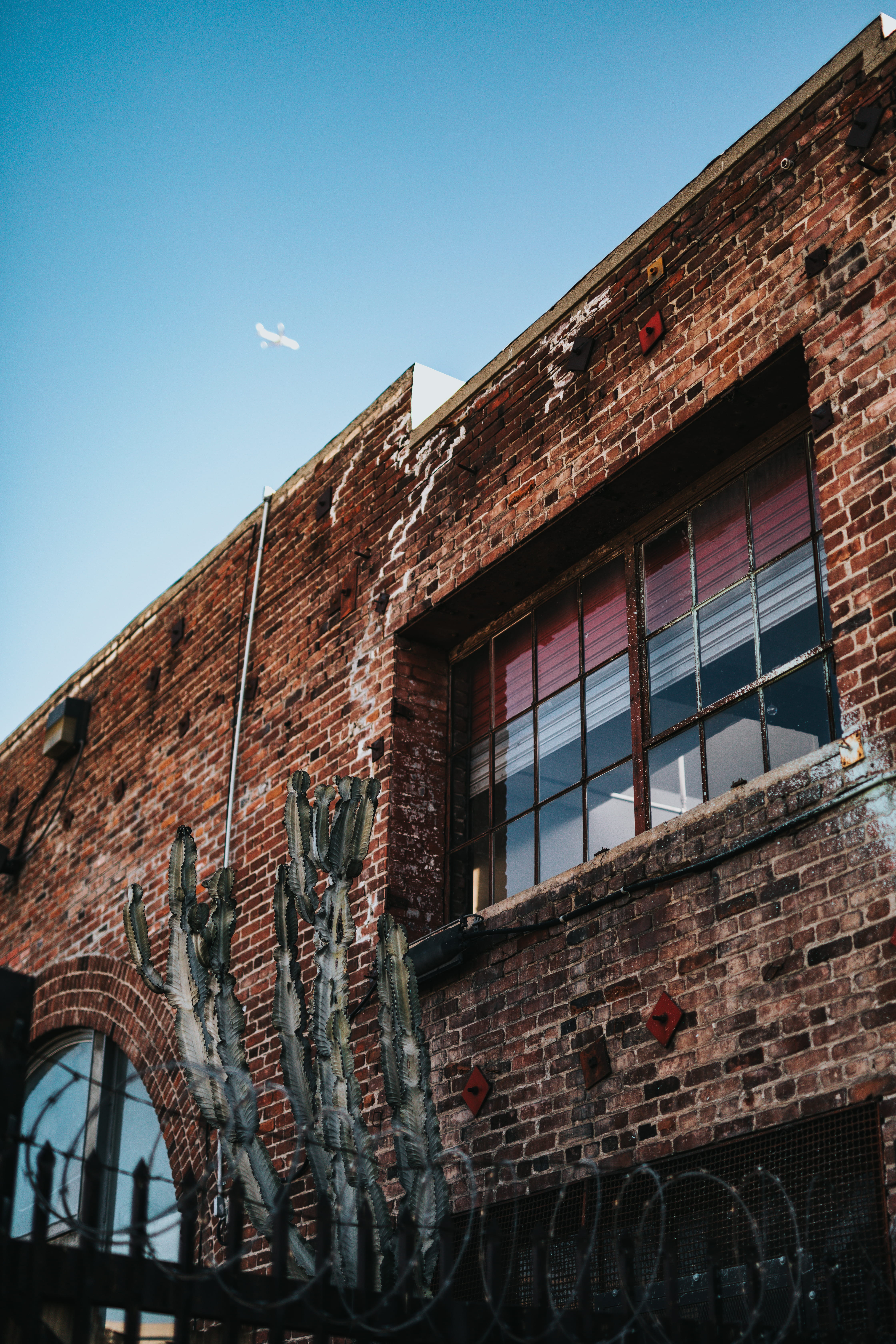brick, window, la, los angeles, nature, 5K, cactus, building, old, residential district, brick wall, united states, architecture, roof, low angle view, Phone HD Wallpaper