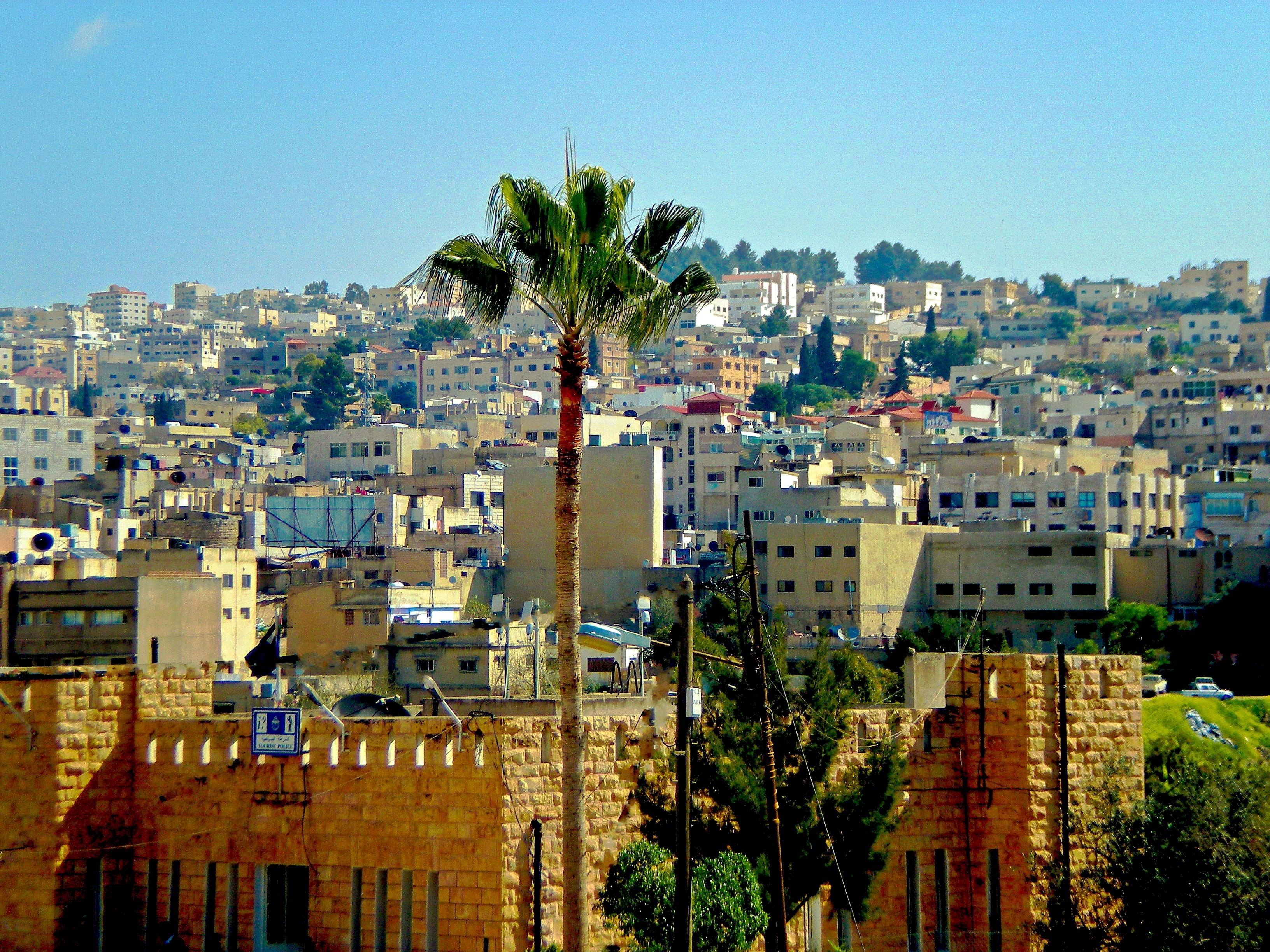 summer, residential district, nature, tropical climate, no people, plant, building, cityscape, sky, skyscraper, built structure, townscape, architecture, HD Wallpaper
