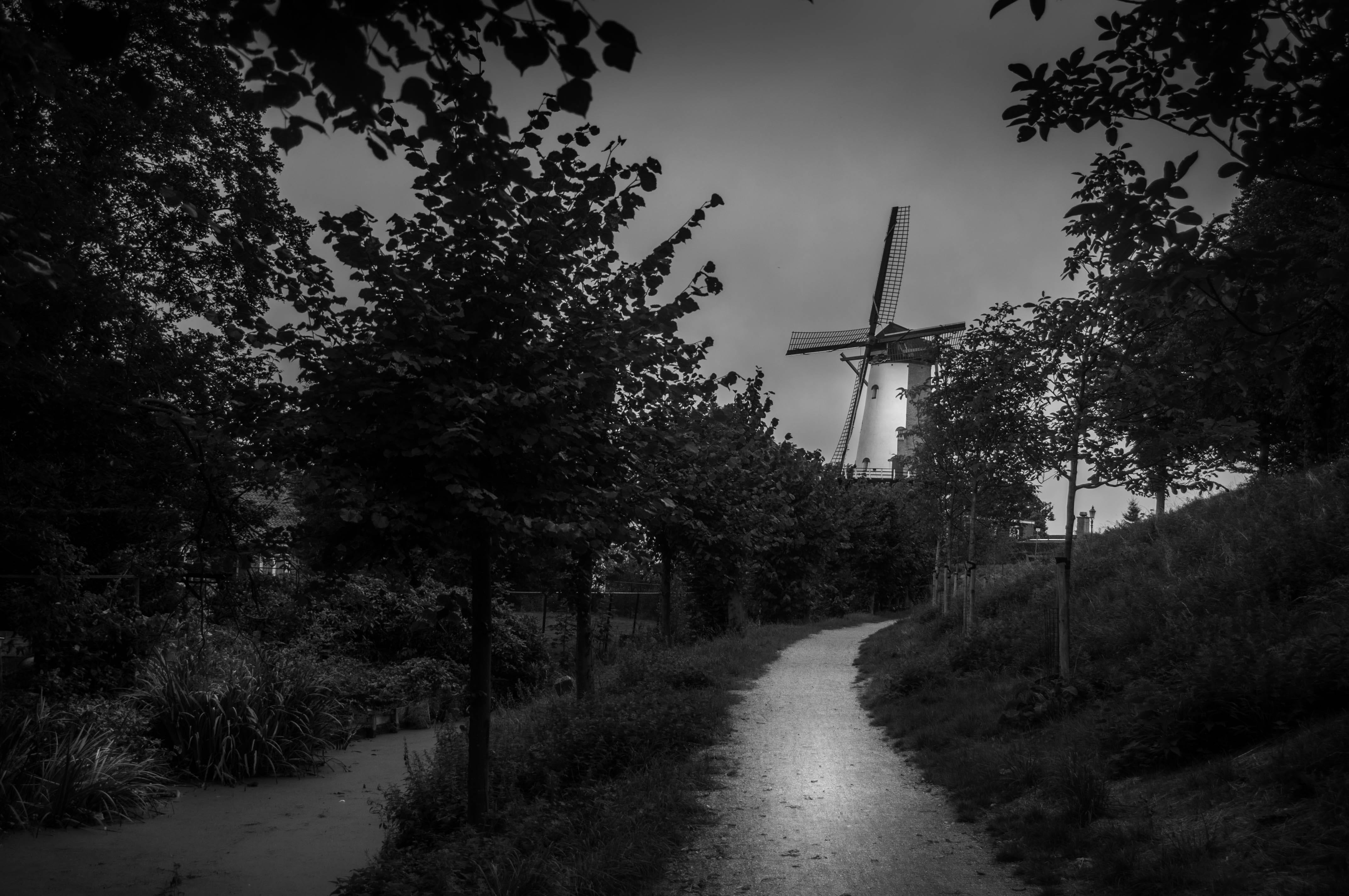 sky, fuel and power generation, wind turbine, willemstad, renewable energy, netherlands, 4K, outdoors, growth, land, field, wind power, no people, tranquility, HD Wallpaper