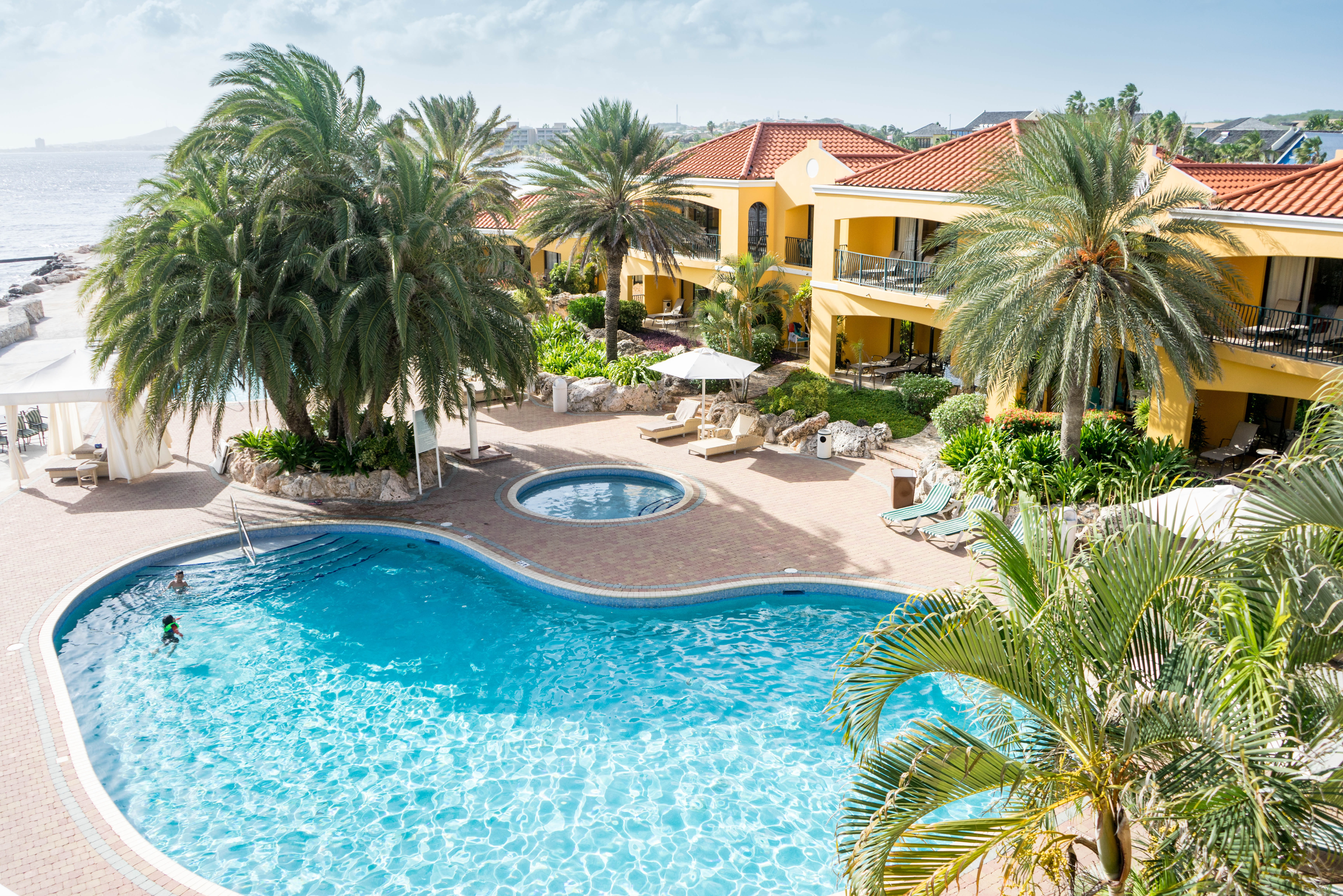 tree, outdoors, sun, summer, poolside, relaxation, built structure, blue, surrounded, hot tub, resort, water, swimming, tropical, tropical climate, high, HD Wallpaper