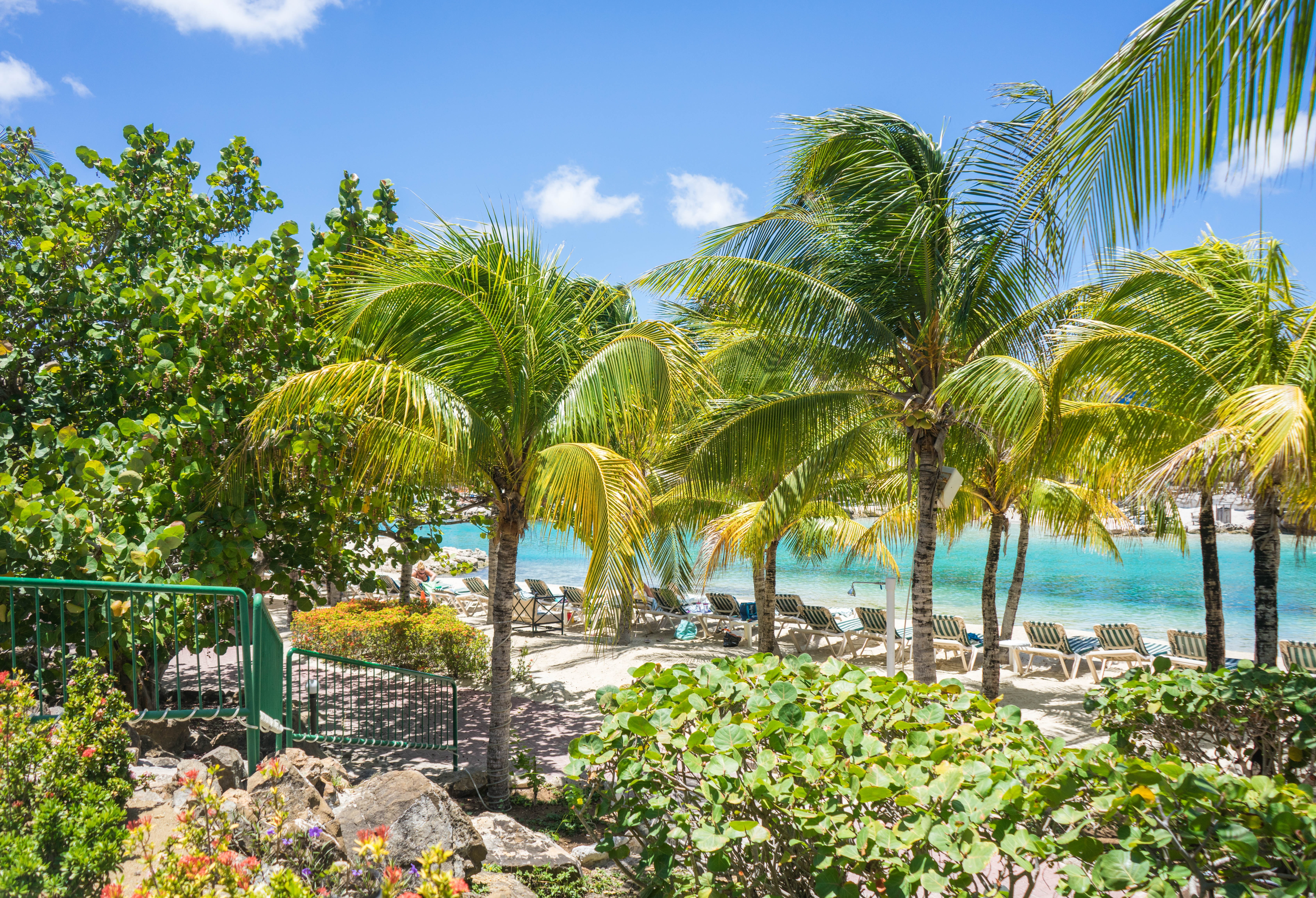 sky, 5K, beach, coastline, tranquility, exotic, tropical, land, tranquil scene, holiday, green color, vacations, tropical tree, tree, resort, nature, tourism, HD Wallpaper