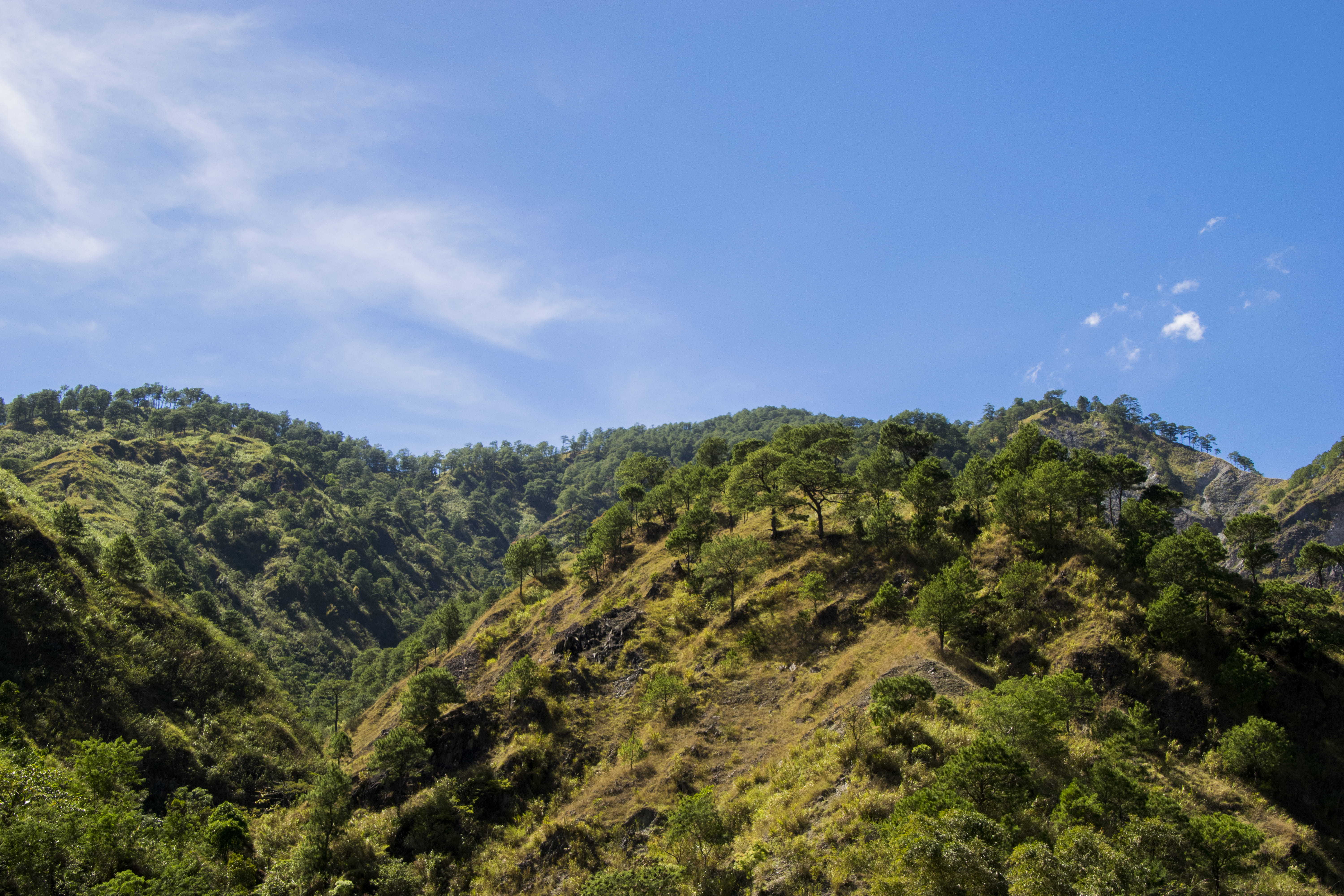 baguio, 5K, environment, mountain, tranquil scene, outdoors, nature, day, cloud - sky, tranquility, sky, beauty in nature, tree, scenics - nature, growth, HD Wallpaper