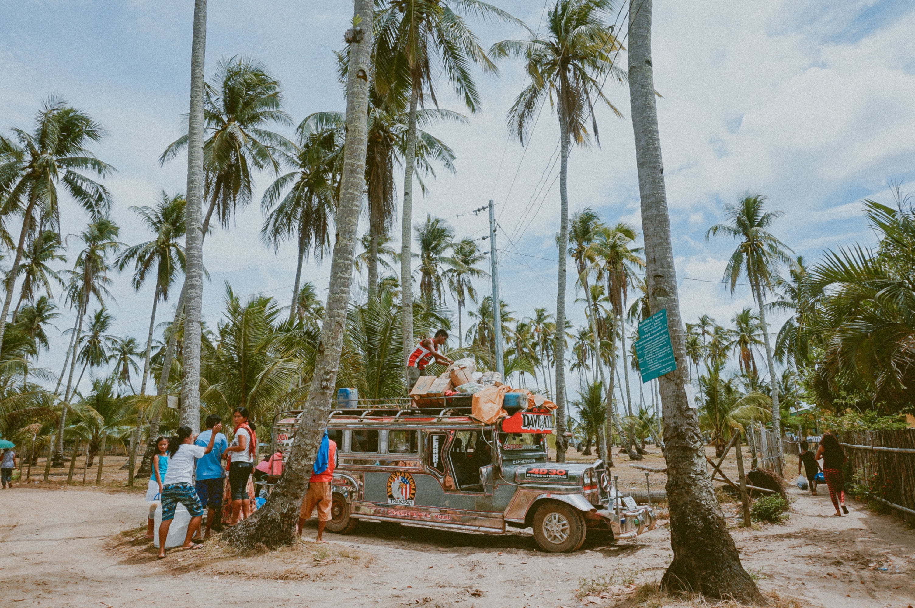 palm Tree, palm, adventure, travel, friends, mode of transportation, tropical climate, coconut, group of people, road, family, motor vehicle, adult, full length, HD Wallpaper
