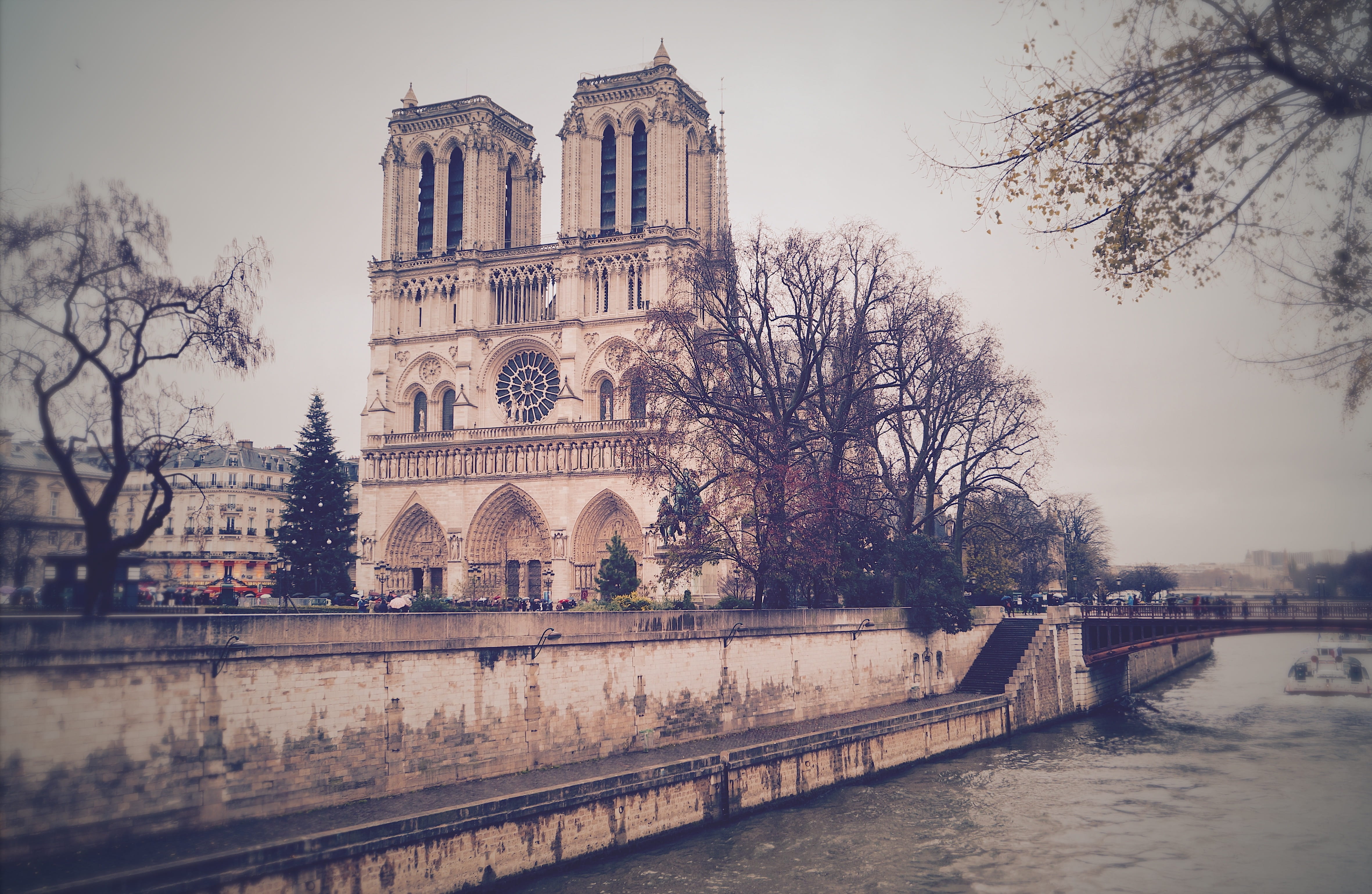 architecture, paris, religion, notre dame, nature, water, chirch, belief, spirituality, bare tree, 4K, travel destinations, 59 pont neuf, bridge, outdoors, HD Wallpaper