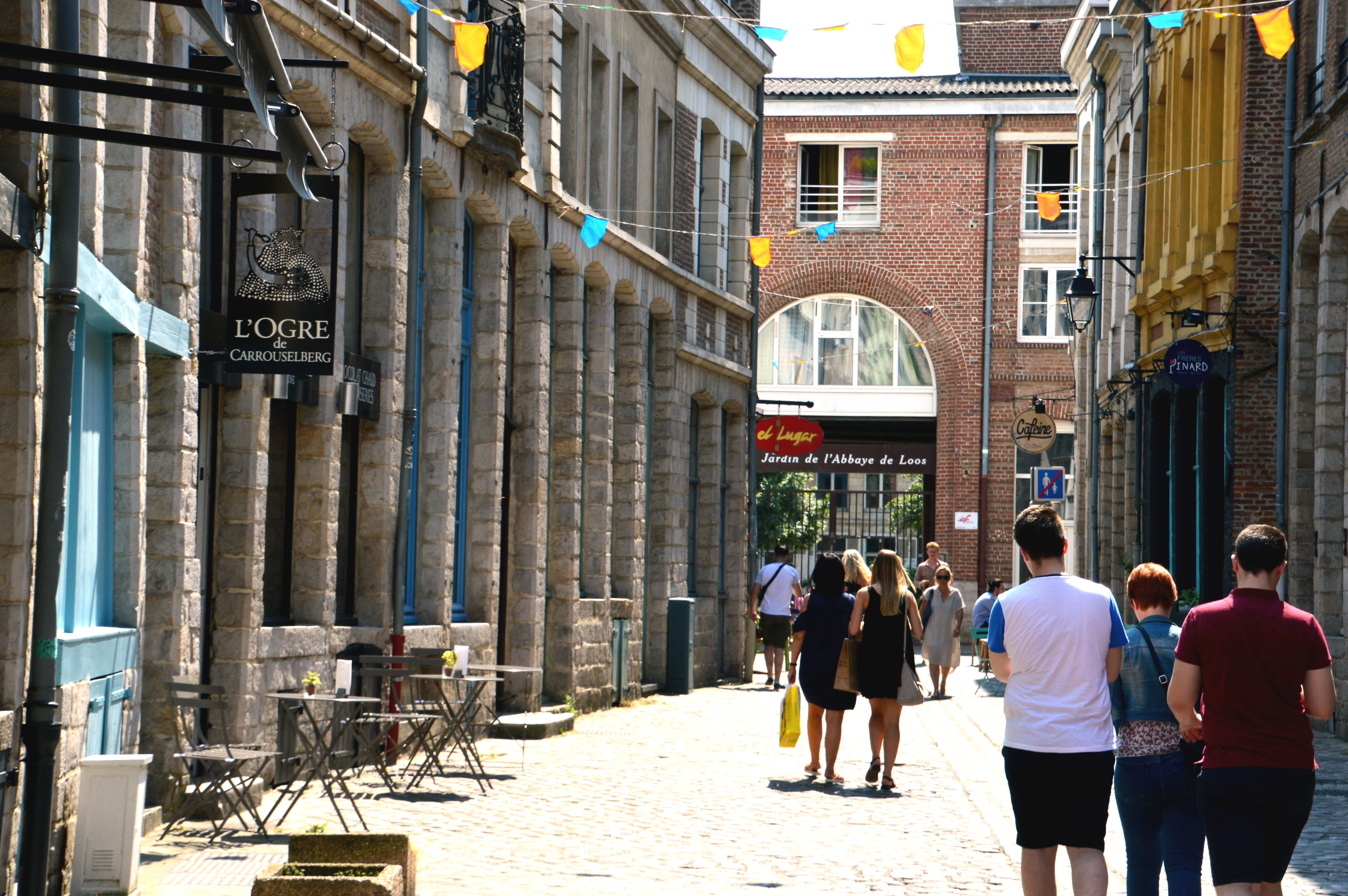 pedestrian street, north, outdoors, district of vieux-lille, rear view, day, people, crowd, street pétérinck, city, shopping street, walking, old lille, HD Wallpaper
