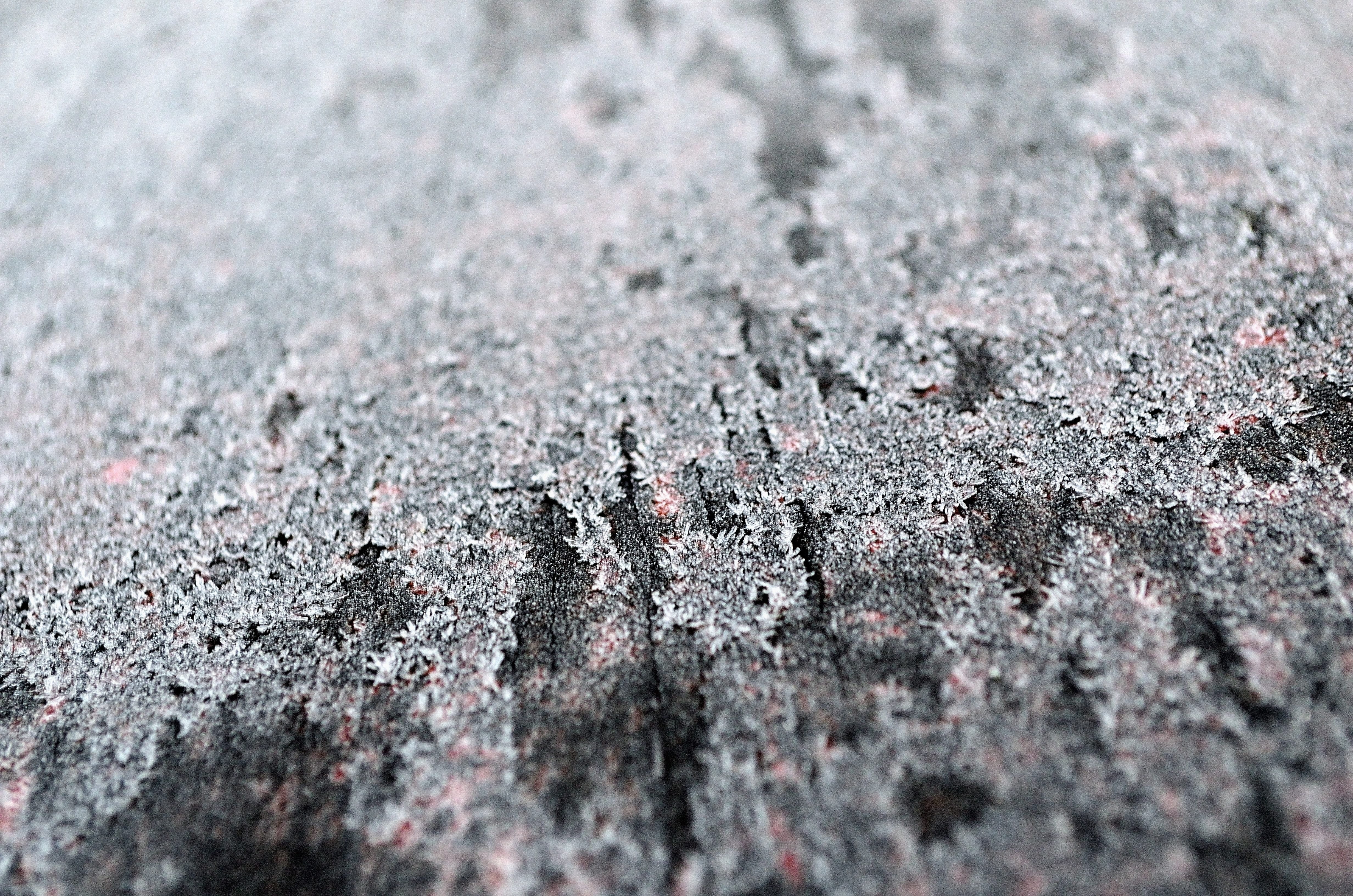 frost, rock - object, hoariness, high angle view, full frame, winter, solid, season, outdoors, rough, drop, textured, cold, weathered, gray, day, no people, HD Wallpaper