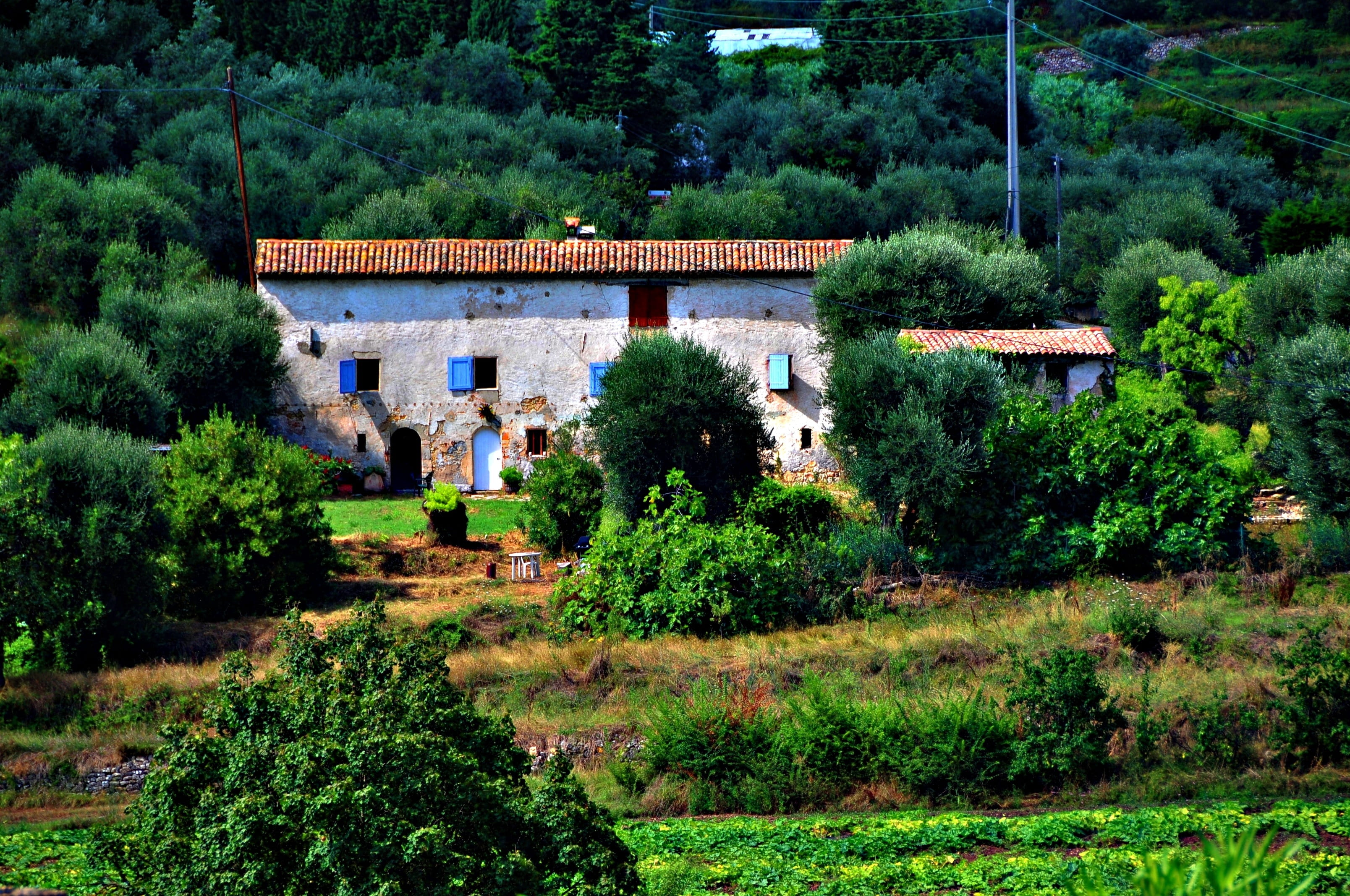 architecture, residential district, forest, no people, building, farmhouse, land, alpes-de-haute-provence, france, europe, 2K, foliage, building exterior, HD Wallpaper