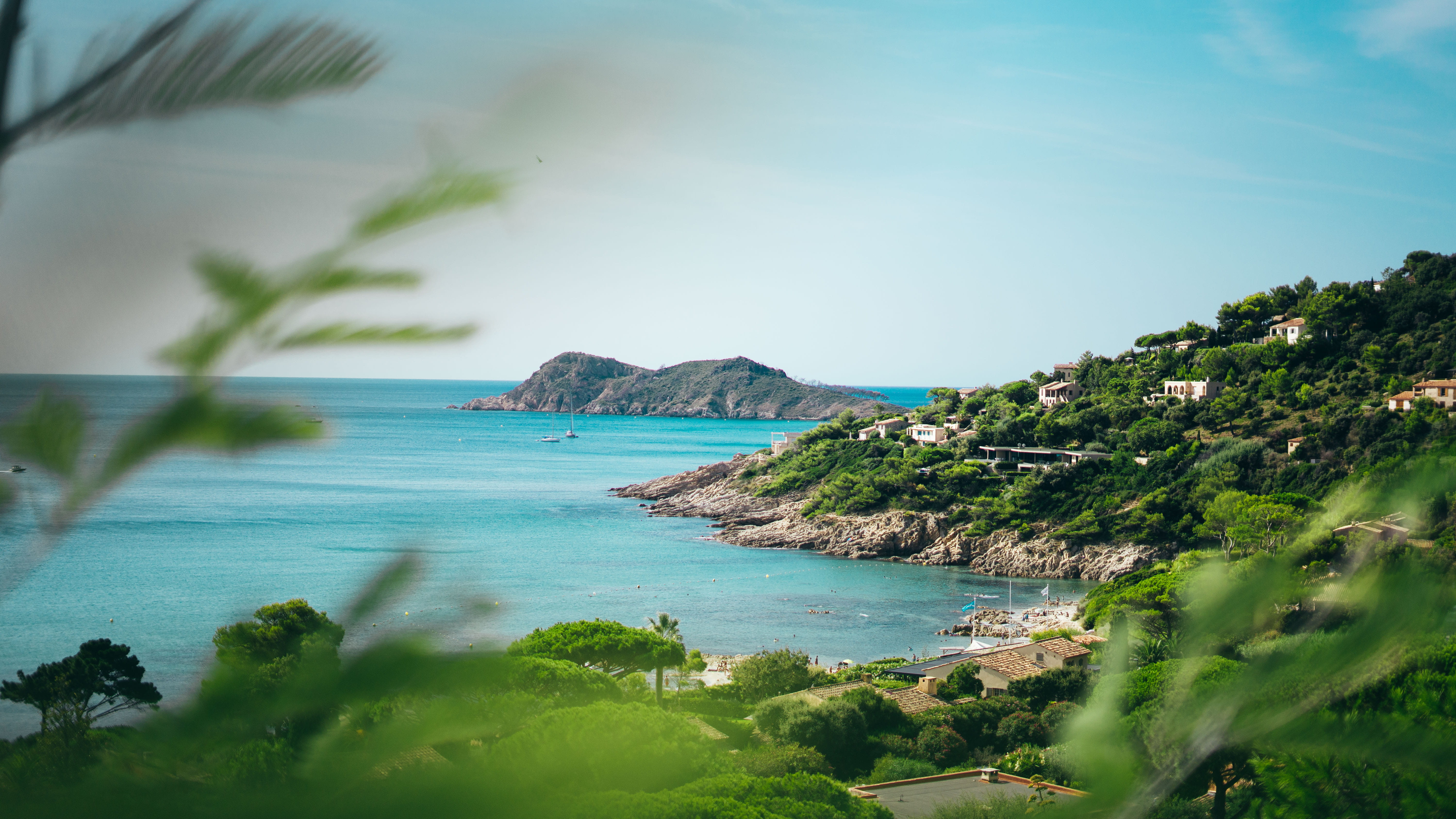 5K, nature, tropical climate, tranquil scene, green, outdoors, palm tree, ocean, blue, sea, shoreline, no people, sky, promontory, bay, beach, beauty in nature, HD Wallpaper