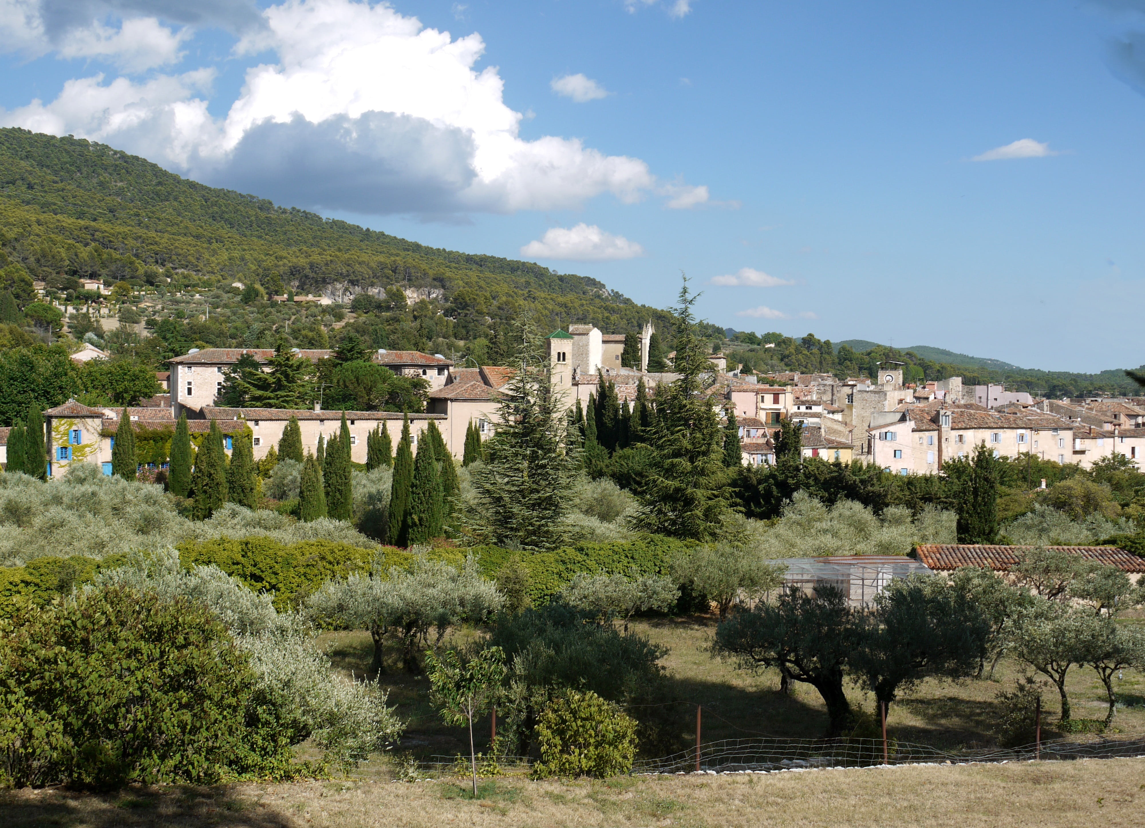growth, old town, village, built structure, mountain, aups, south of france, day, environment, plant, france, building exterior, no people, picturesque, HD Wallpaper