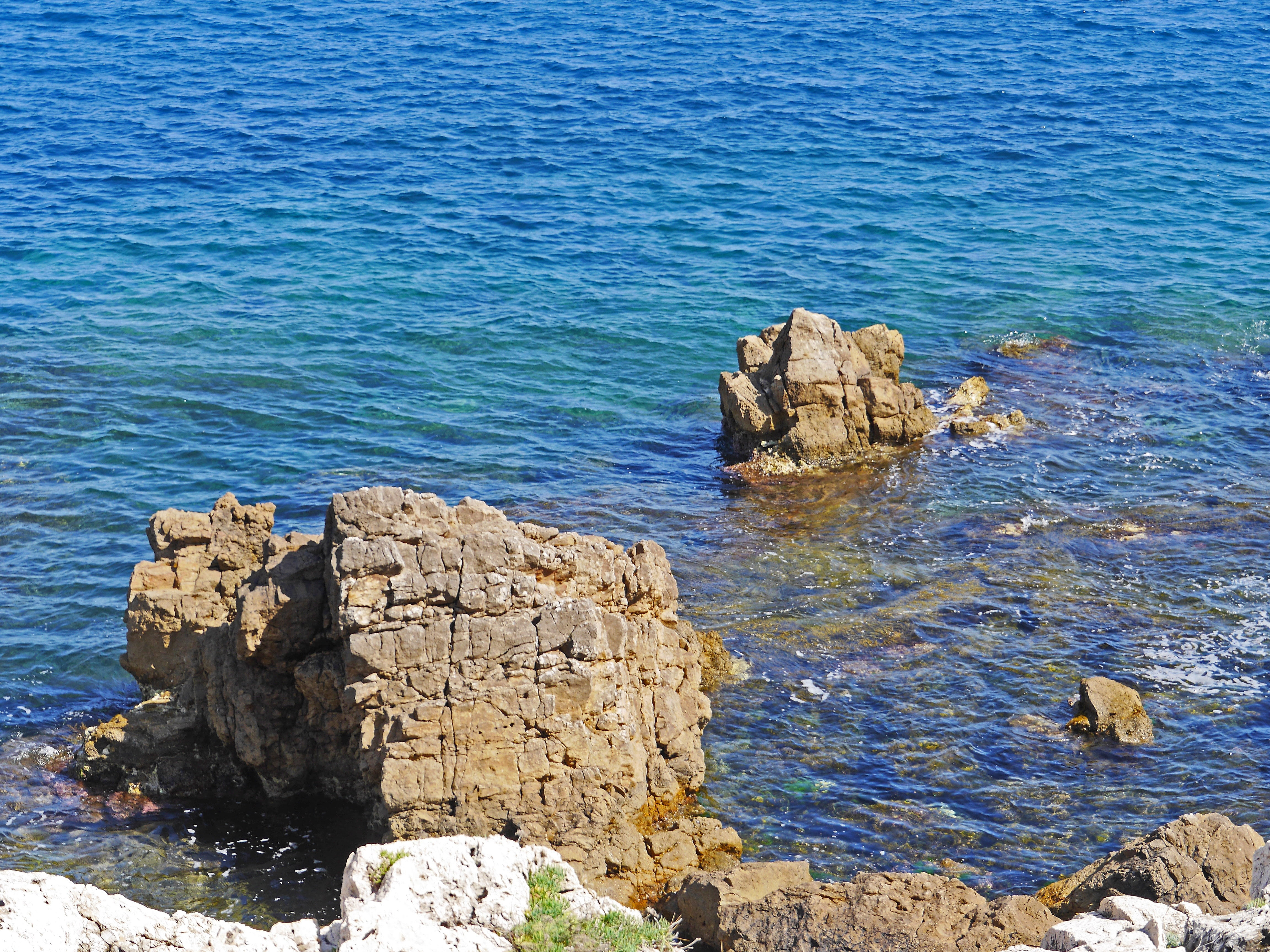 no people, maritime alps, scenics - nature, animal wildlife, mediterranean, côte d  azur, nature, shoal, south of france, 4K, antibes, rippled, solid, HD Wallpaper