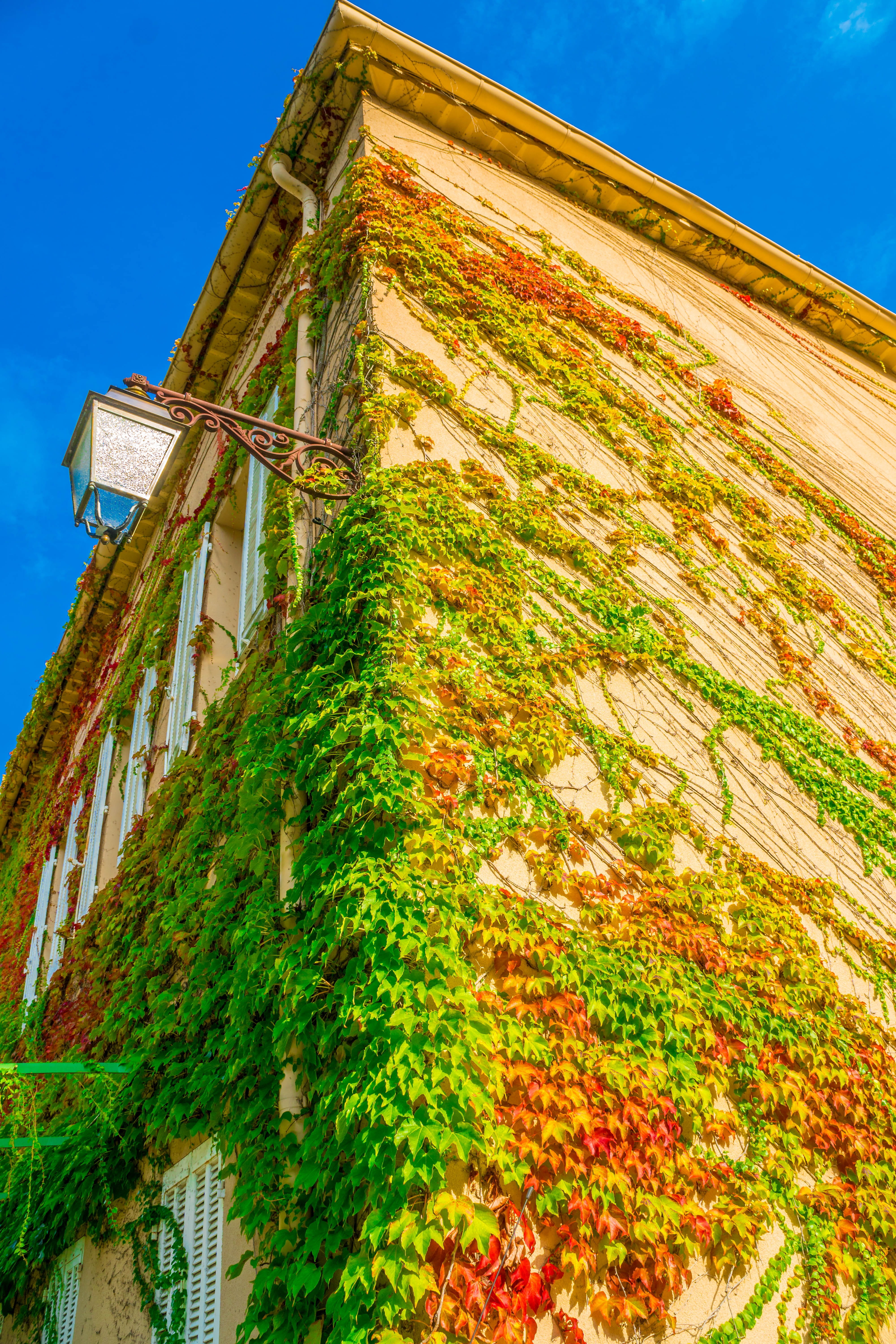 residential district, day, travel destinations, climber plant, tourism, architecture, lantern, plant, blue, building exterior, low angle view, travel, summer, Phone HD Wallpaper