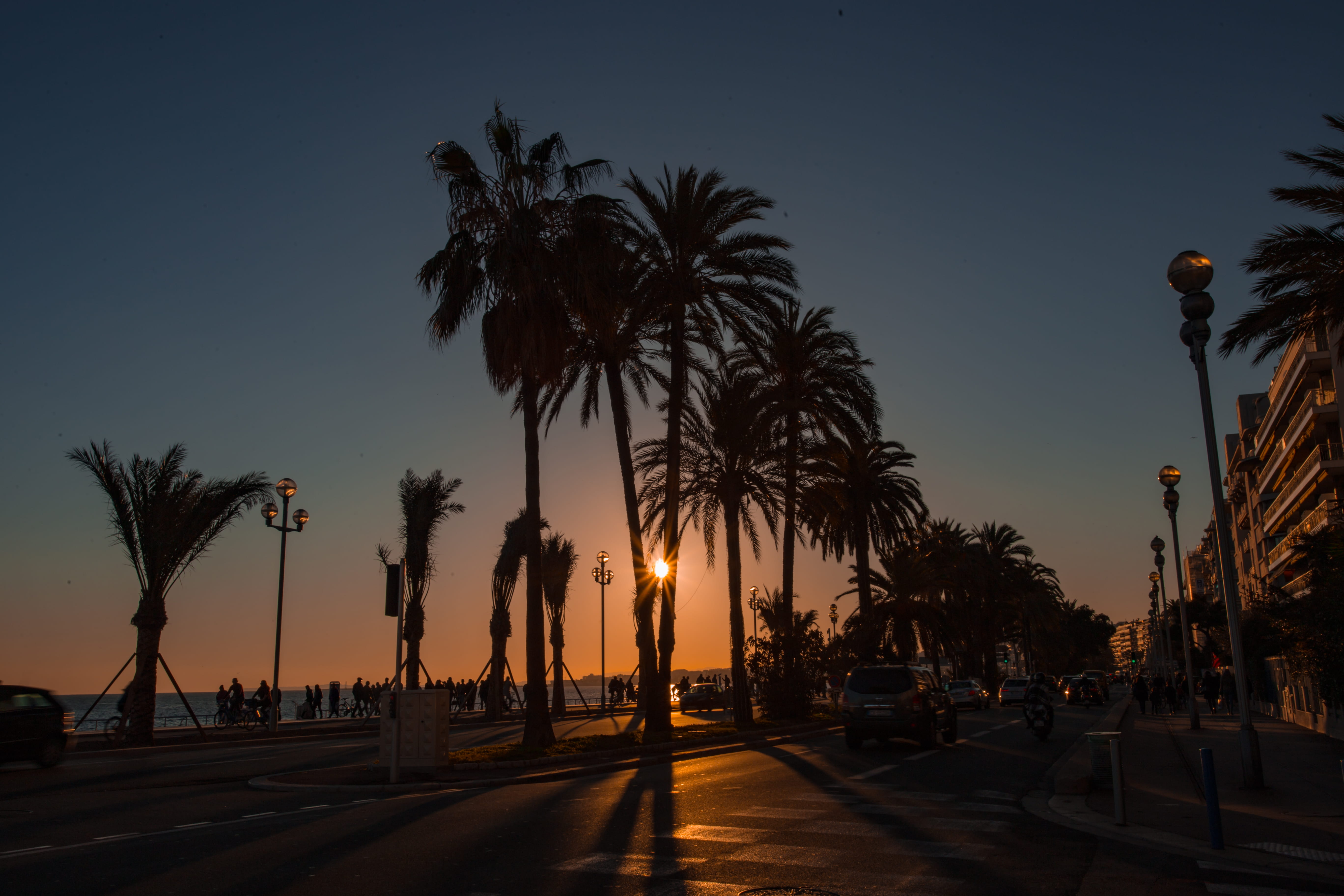 sky, city, urban, treelined, road, growth, lighting equipment, coconut palm tree, plant, 5K, outdoors, beach, black, orange color, see, nice, palm, sunset, HD Wallpaper