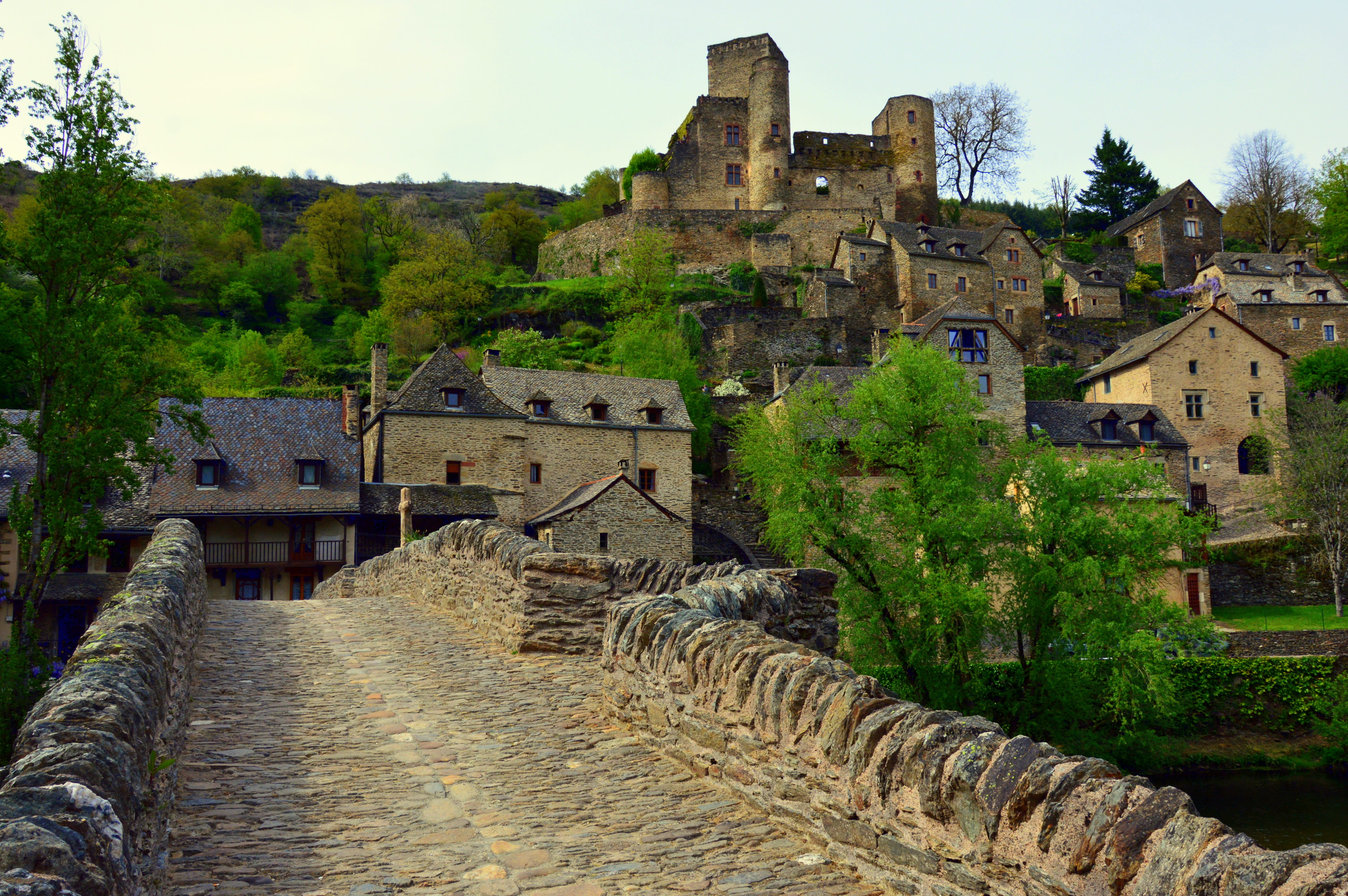 old ruin, Aveyron, tree, stone wall, Château De Belcastel, fort, architecture, building exterior, 5K, building, old, wall, ruined, outdoors, residential district, HD Wallpaper