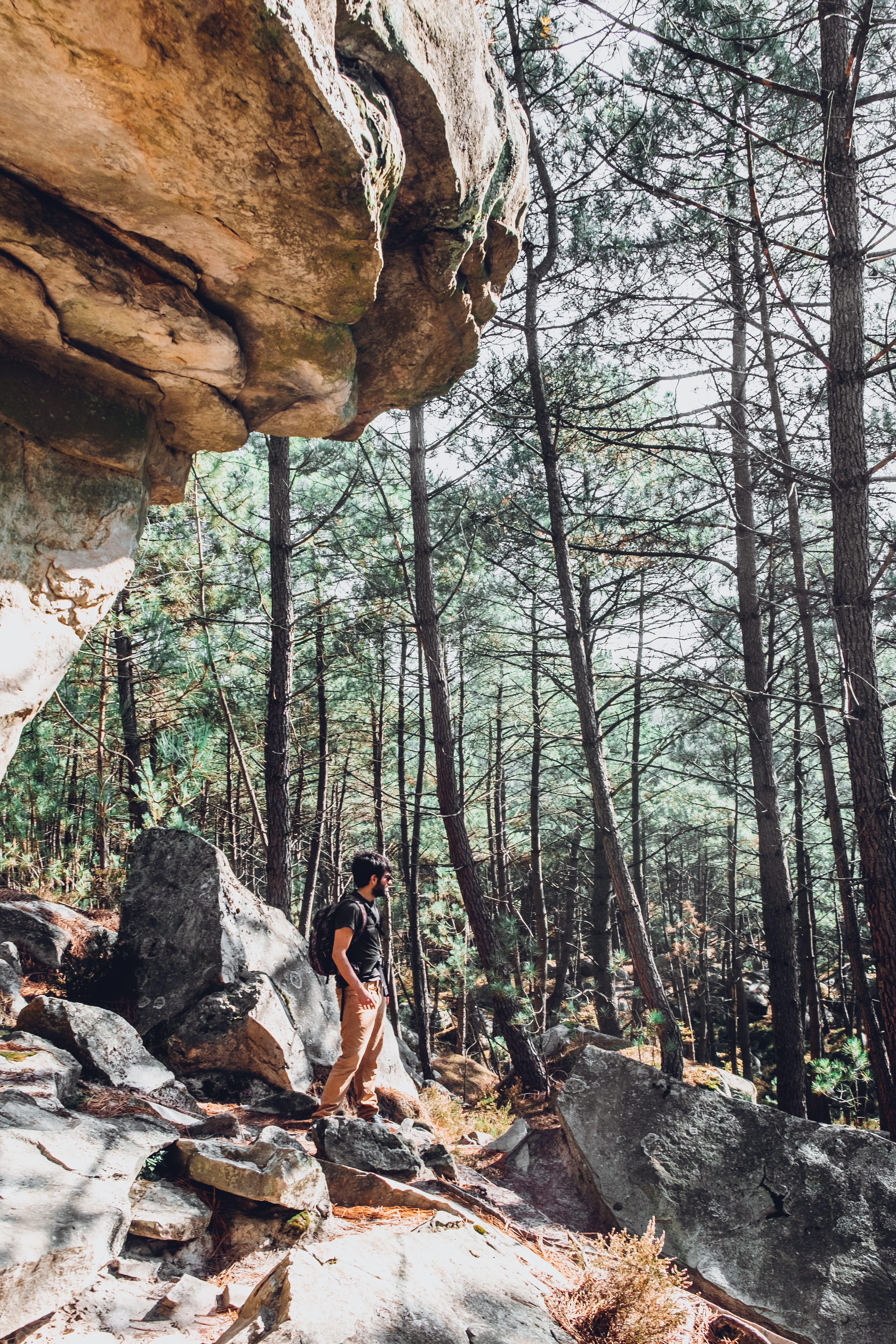 pines, the great outdoors, fontainebleau, sun, sunny, day, full length, rock formation, solid, france, rocks, real people, forest, lifestyles, outdoors, Phone HD Wallpaper