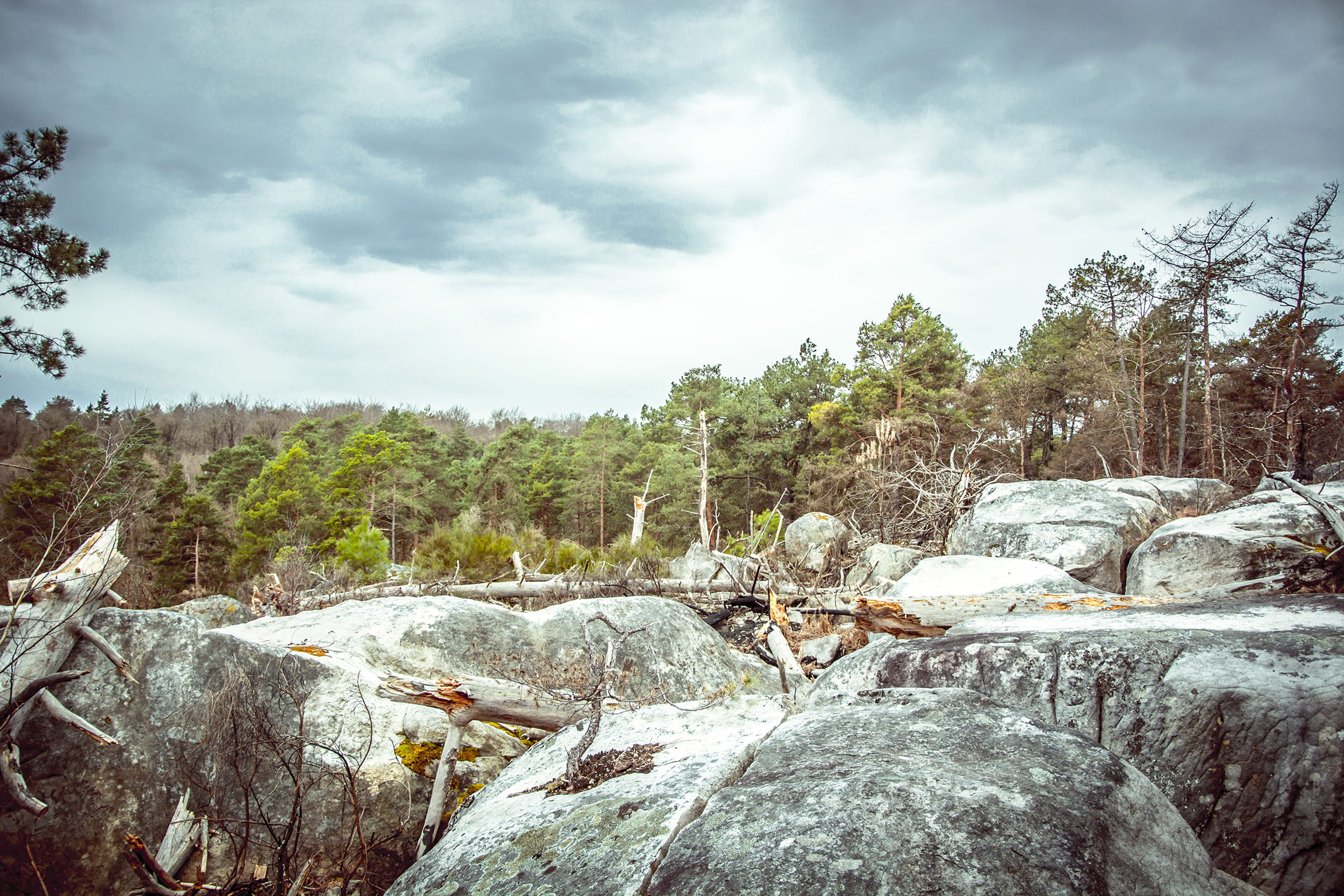 day, tree, tranquility, rock - object, solid, flowing water, green, after, photography, american, plant, scenics - nature, trekking, fontainebleau, beauty in nature, HD Wallpaper