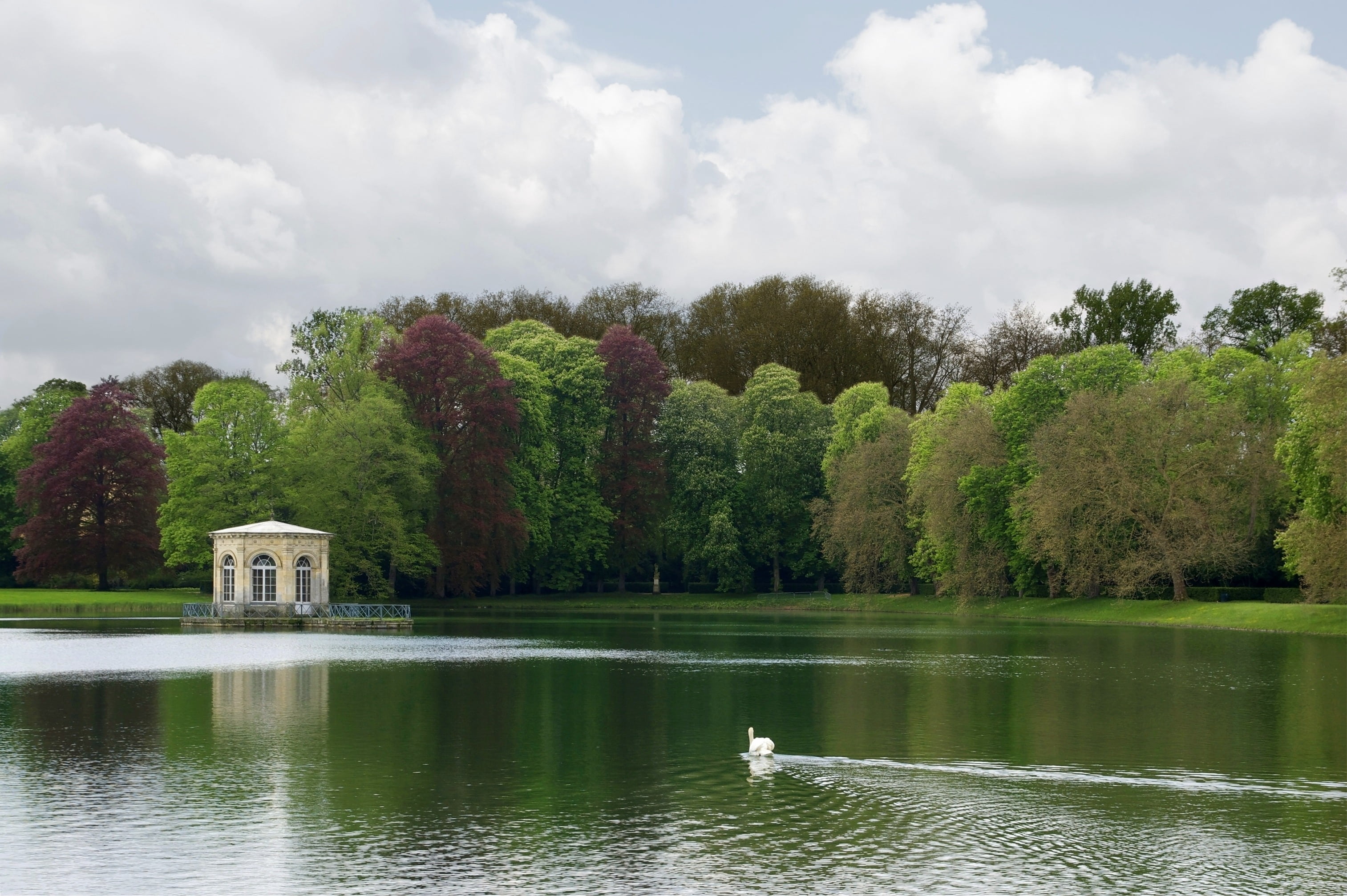 water, sky, bird, animal, garden, schlossgarten, lake, animal themes, fontainebleau, tree, scenics - nature, pond, growth, plant, 2K, animal wildlife, HD Wallpaper