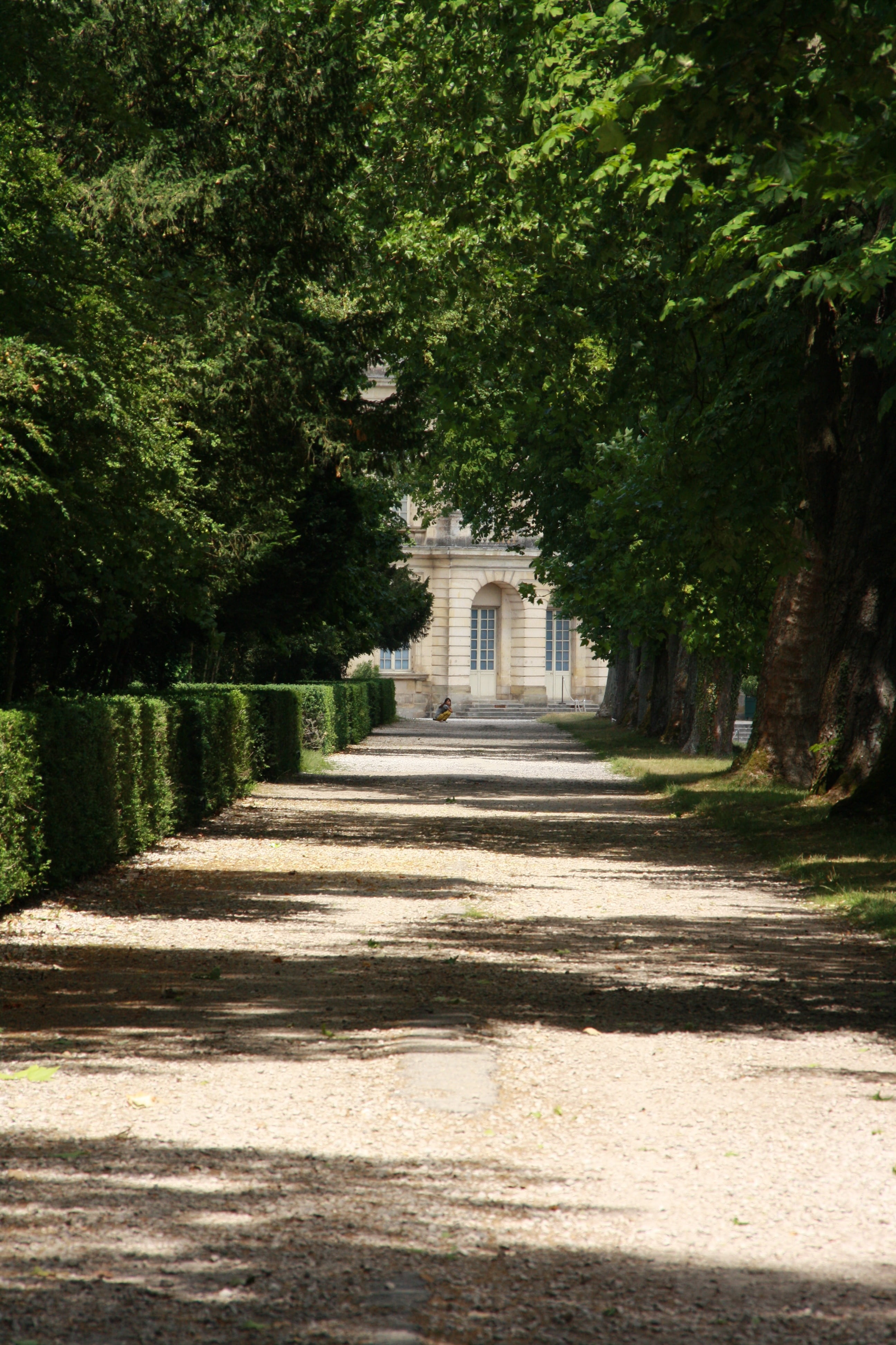 outdoors, built structure, history, direction, building, fontainebleau, architectural column, nature, the past, away, plant, sunlight, tree, the way forward, Phone HD Wallpaper