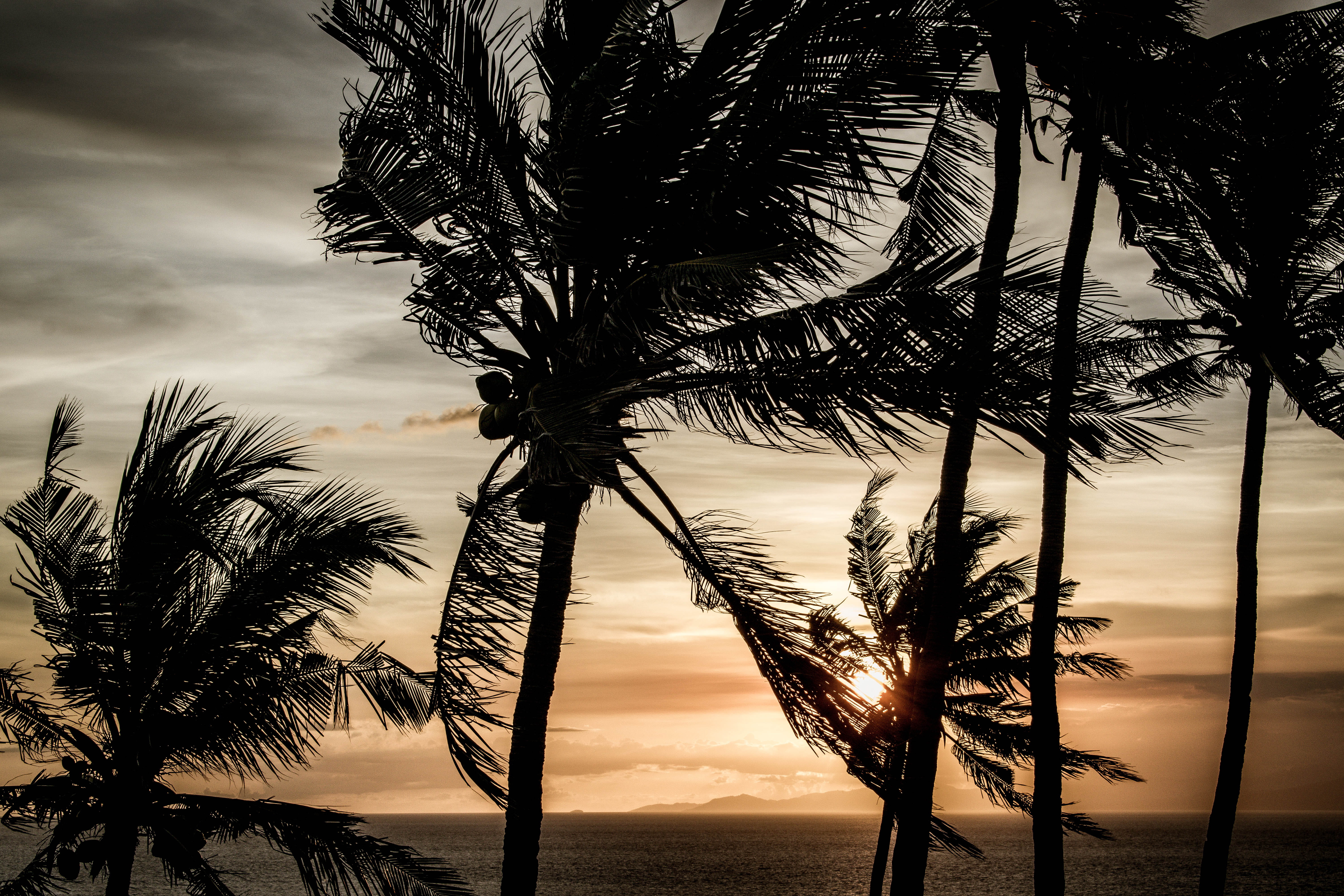scenics - nature, tropical climate, no people, nature, atardecer, sunrise, plant, sky, 5K, outdoors, palmera, silhouette, indonesia, horizon over water, HD Wallpaper