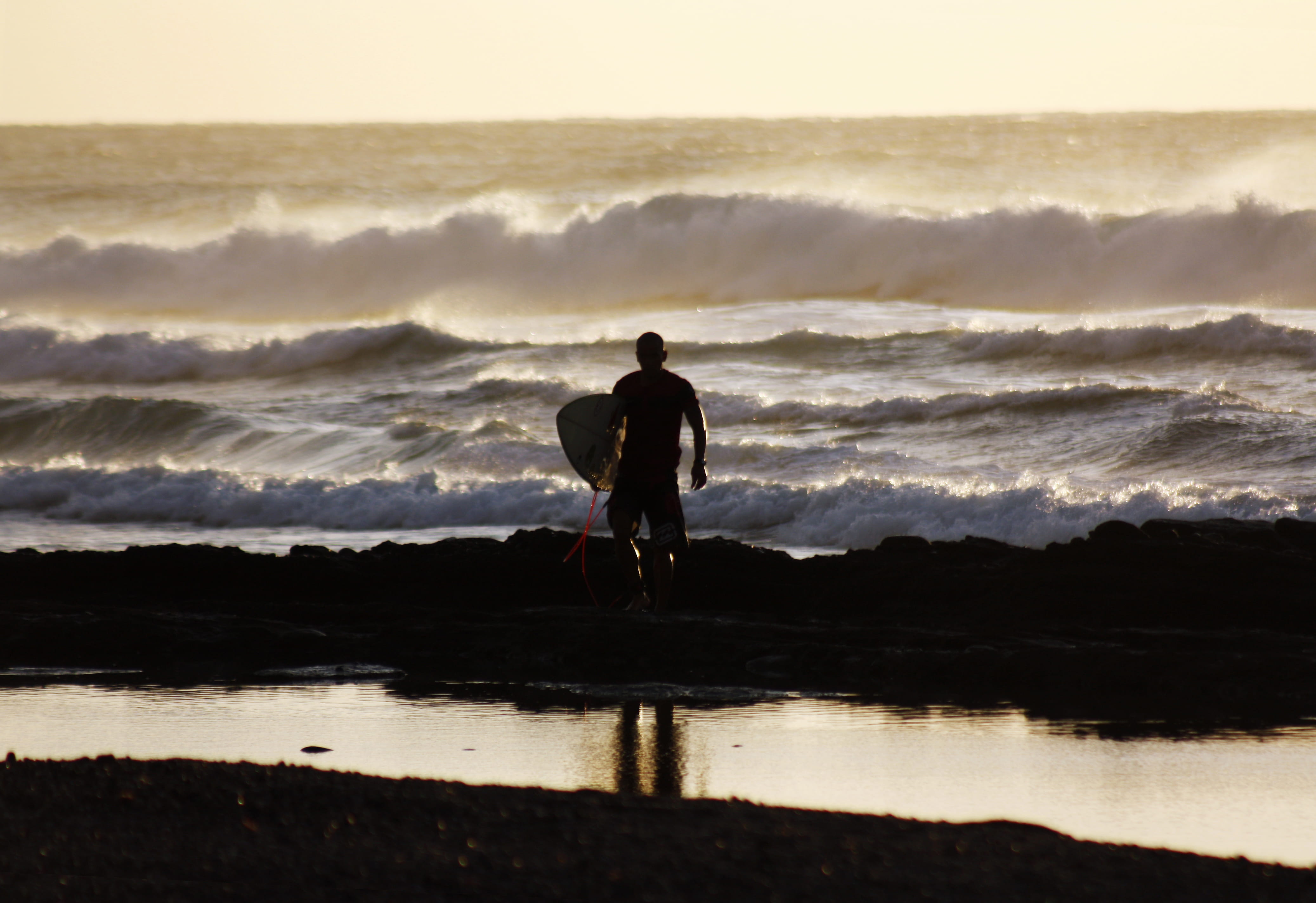 4K, afternoon, leisure activity, real people, tenerife, nature, lifestyles, surf, palmeras, water, full length, outdoors, out, beach, wave, rear view, HD Wallpaper