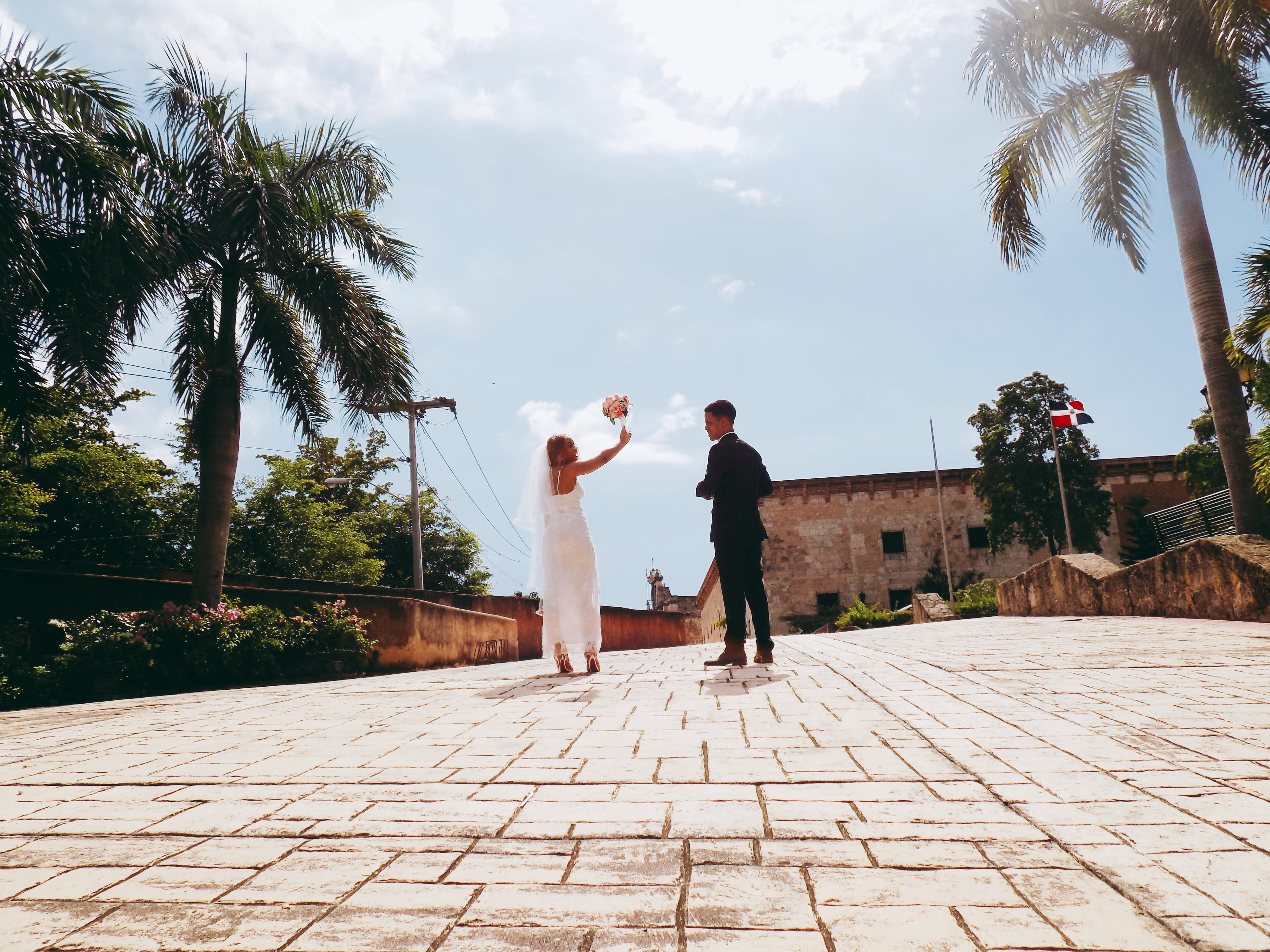 pink, rear view, palmerad, trees, leisure activity, flores, rosado, 5K, positive emotion, men, plant, two people, malecón, wendys, dominican republic, HD Wallpaper