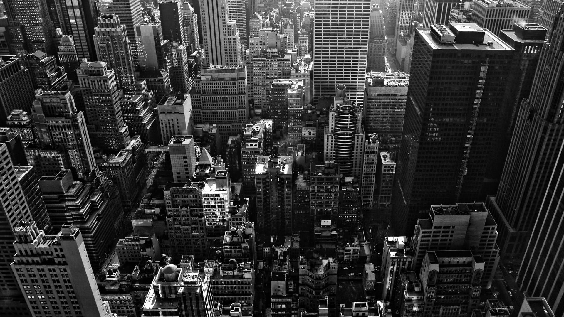 city, animals, 1080P, sin, HD Wallpaper