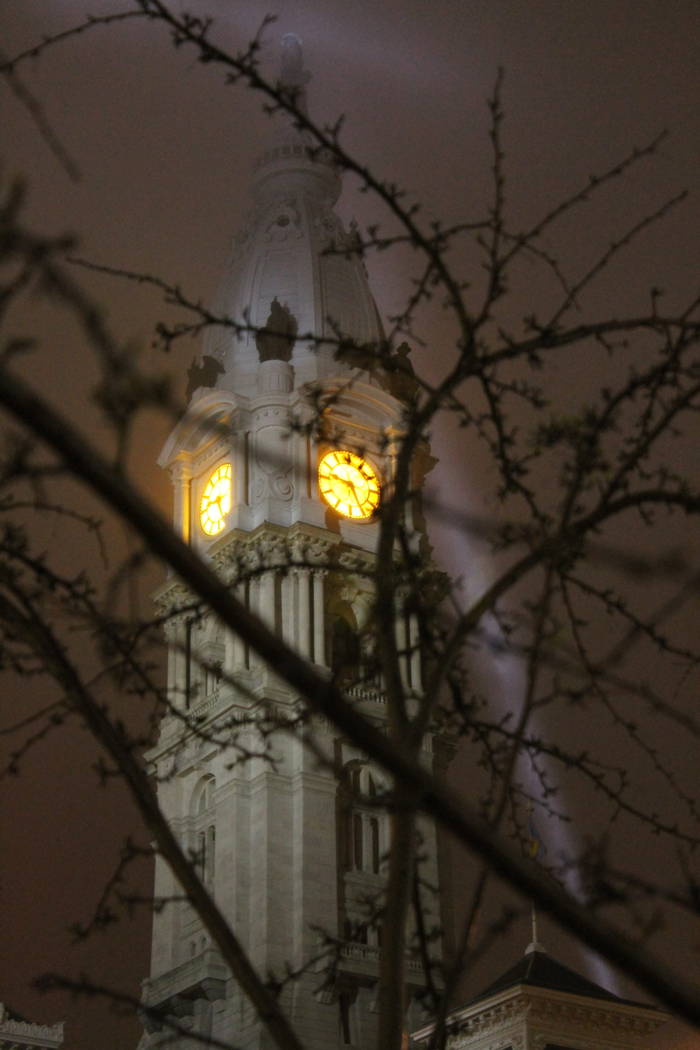 night, tree, building, church, outdoors, Fog, city, low angle view, architecture And Buildings, built structure, Building, lighting equipment, architecture, Phone HD Wallpaper