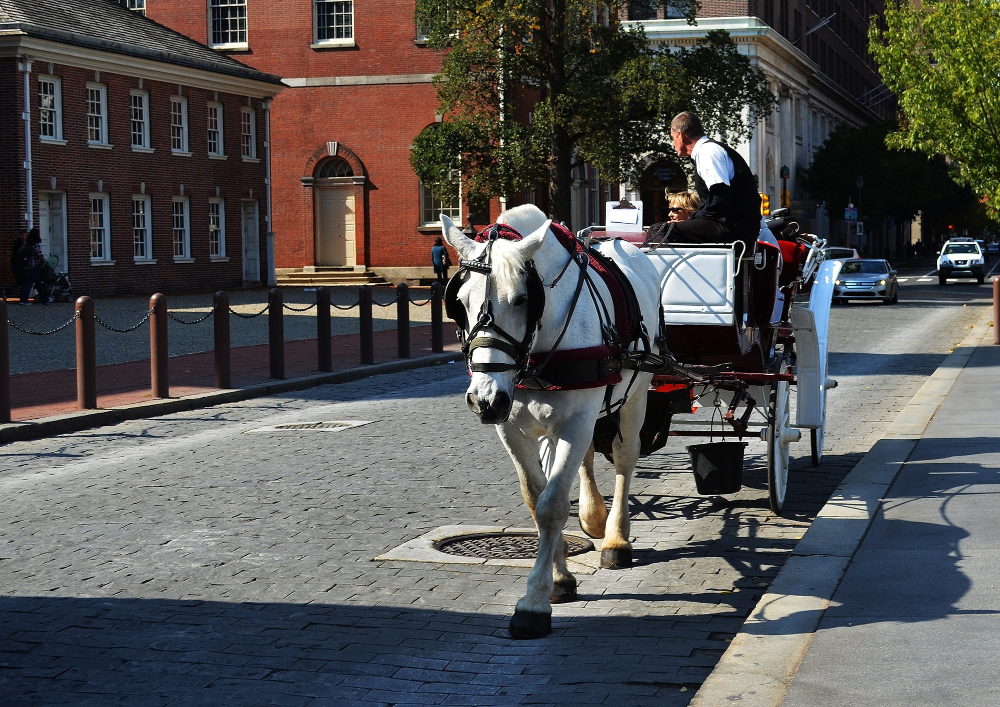 city, Horse, 1080P, history, shadow, livestock, domestic, animal themes, mammal, day, domestic animals, architecture, Street, horse cart, pets, animal wildlife, HD Wallpaper
