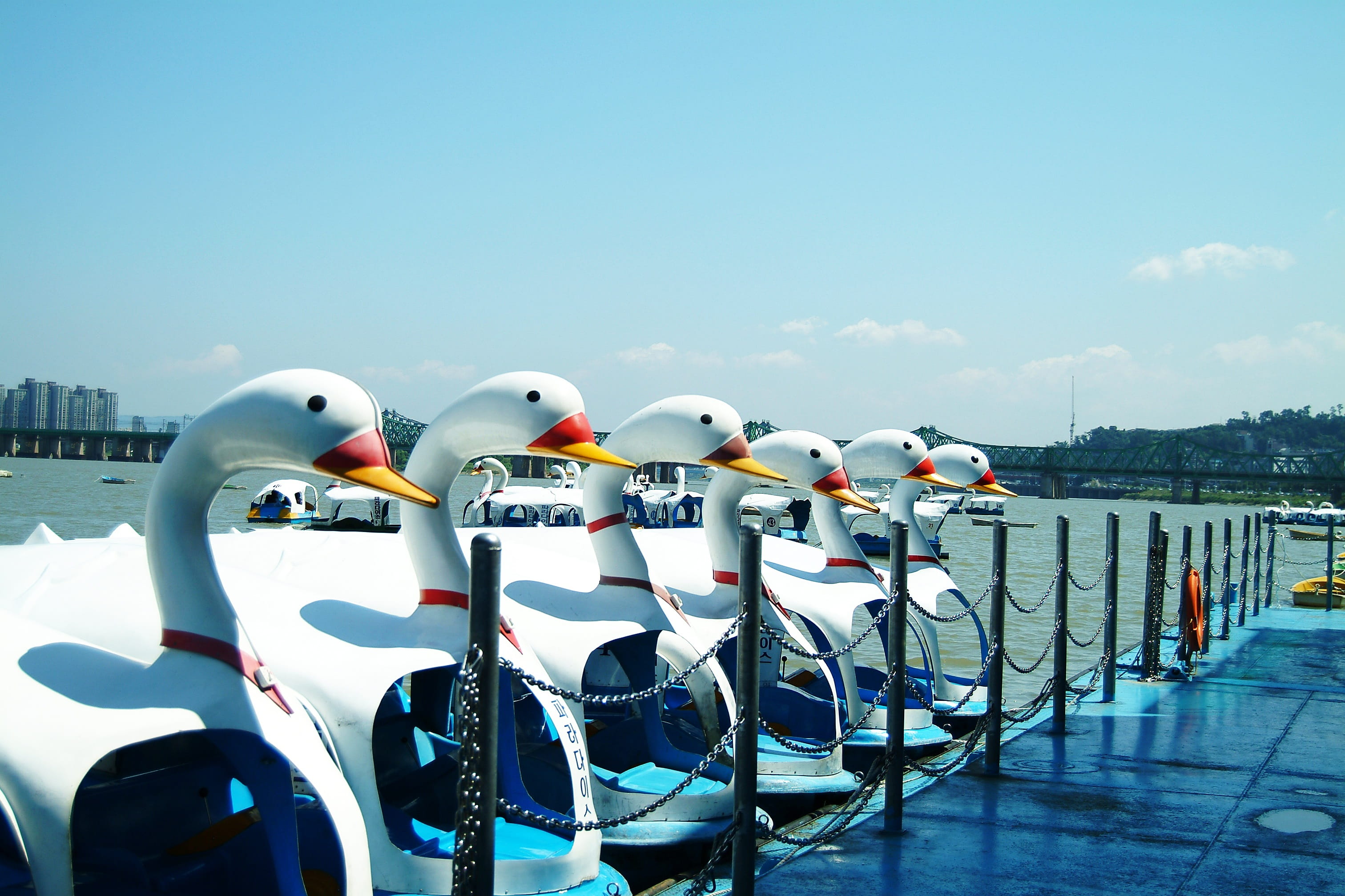 side by side, 2K, dip, transportation, mode of transportation, swelter, no people, sunlight, white color, blue, the heat, in a row, duck master, copy space, HD Wallpaper