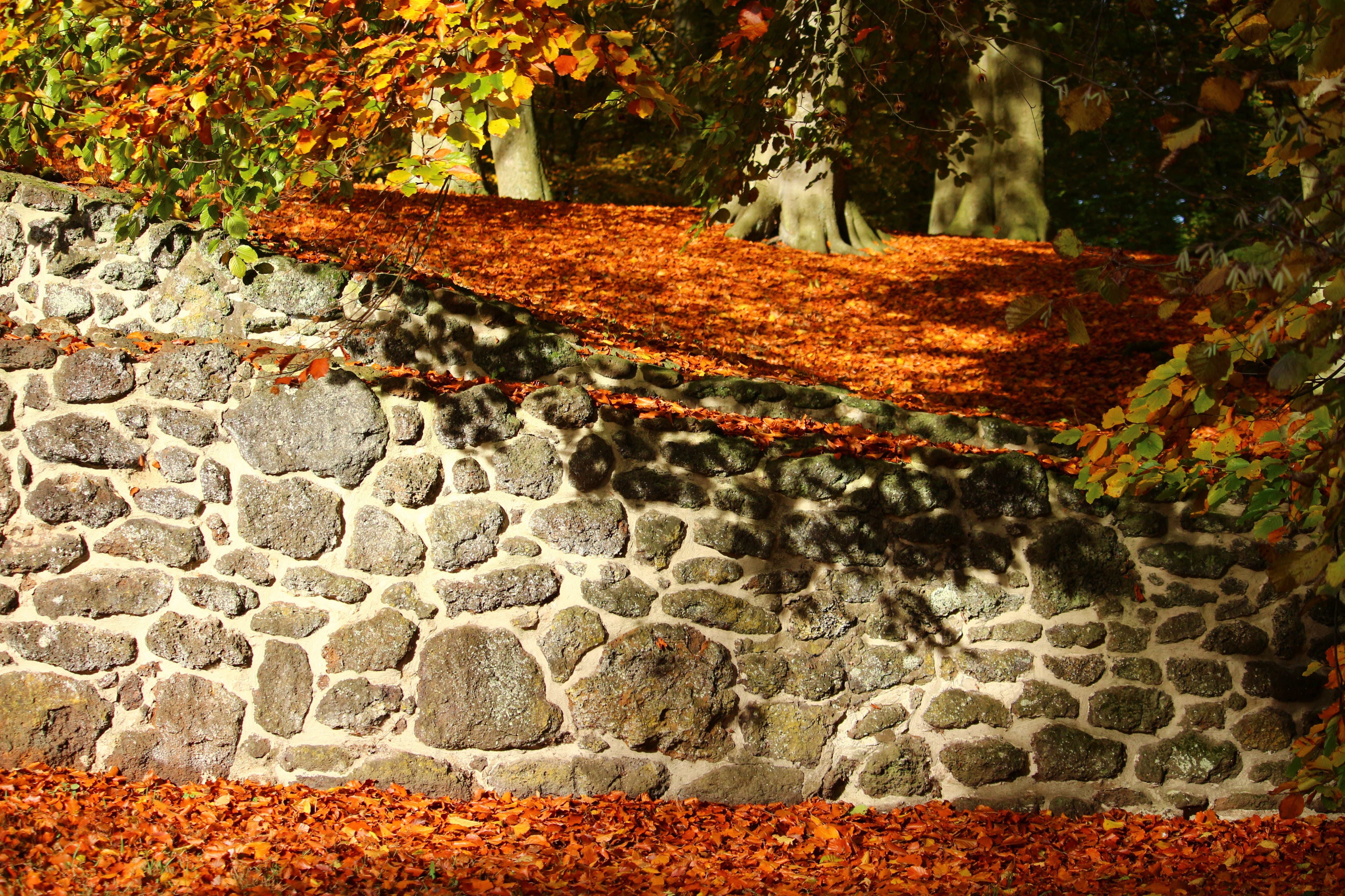 ludwigslust-parchim, beauty in nature, motion, flowing, lake, leaf, growth, orange color, no people, stone steps, stone wall, leaves, flowing water, change, HD Wallpaper