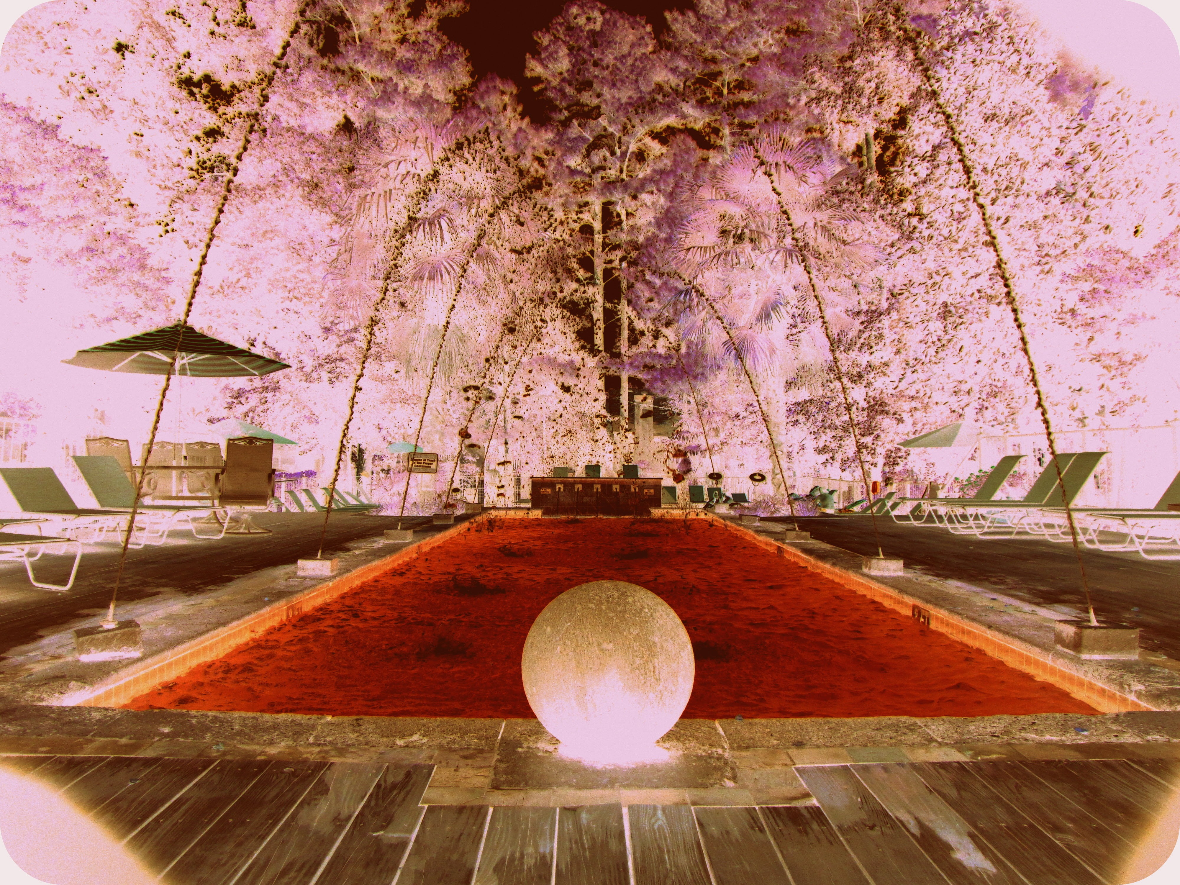 lighting equipment, nature, plant, fountain, water fountains, tree, park - man made space, cherry blossom, fragility, growth, freshness, pool, flower, outdoor, HD Wallpaper