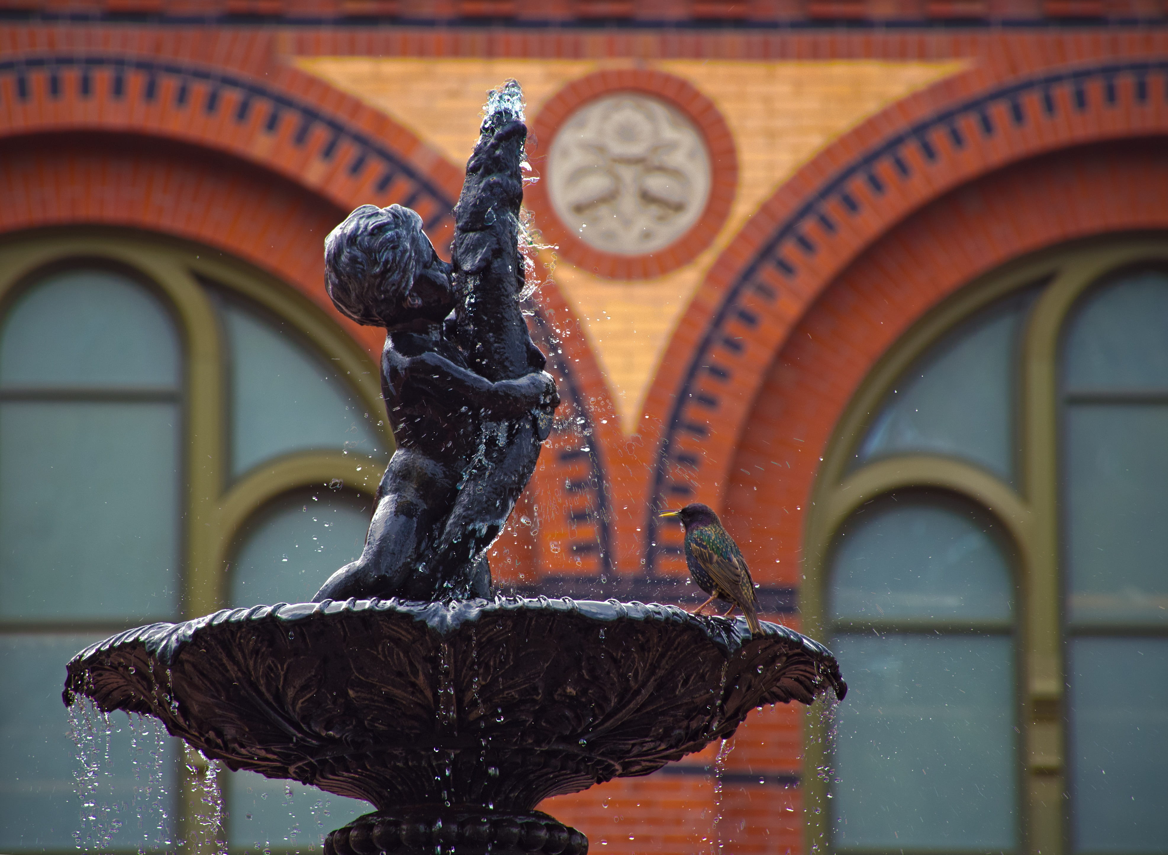 representation, color, architecture, craft, art and craft, wildlife, spraying, animal representation, flowing water, museums, robin, colorful, outdoors, HD Wallpaper