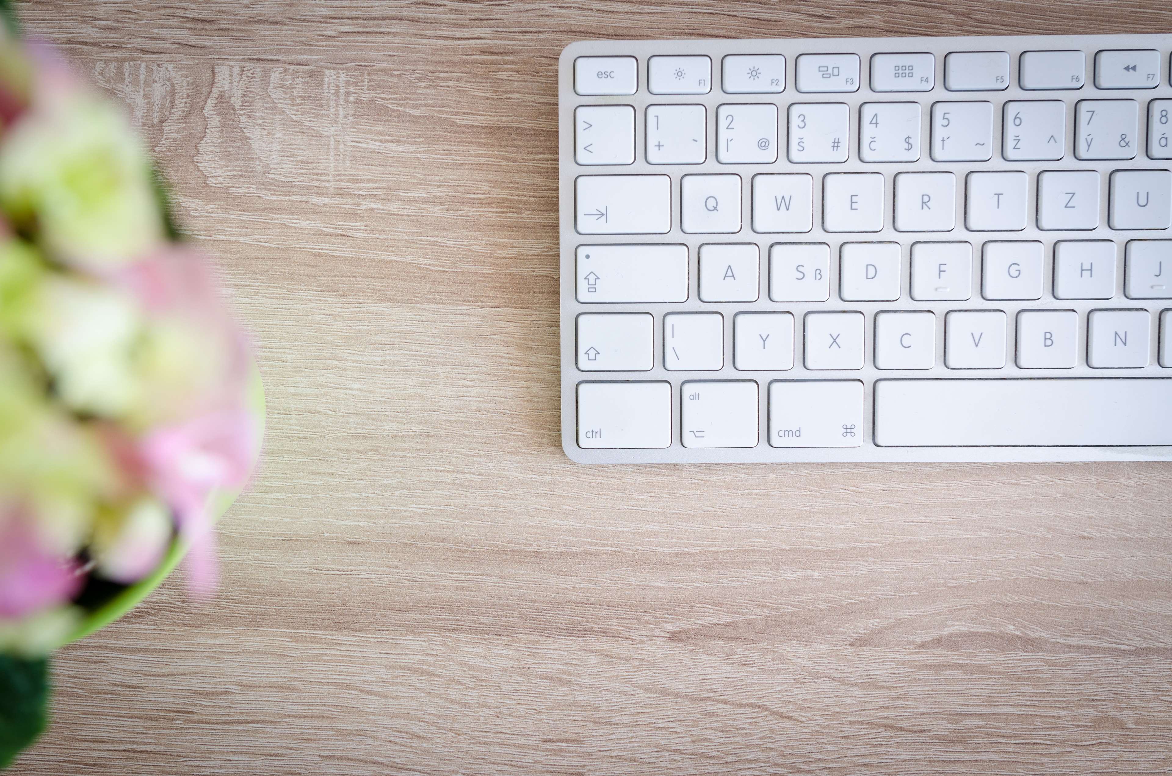 flowering plant, technology, computer part, document, computer equipment, creativity, 4K, communication, still life, keyboard, celebration, flower, an empty, HD Wallpaper