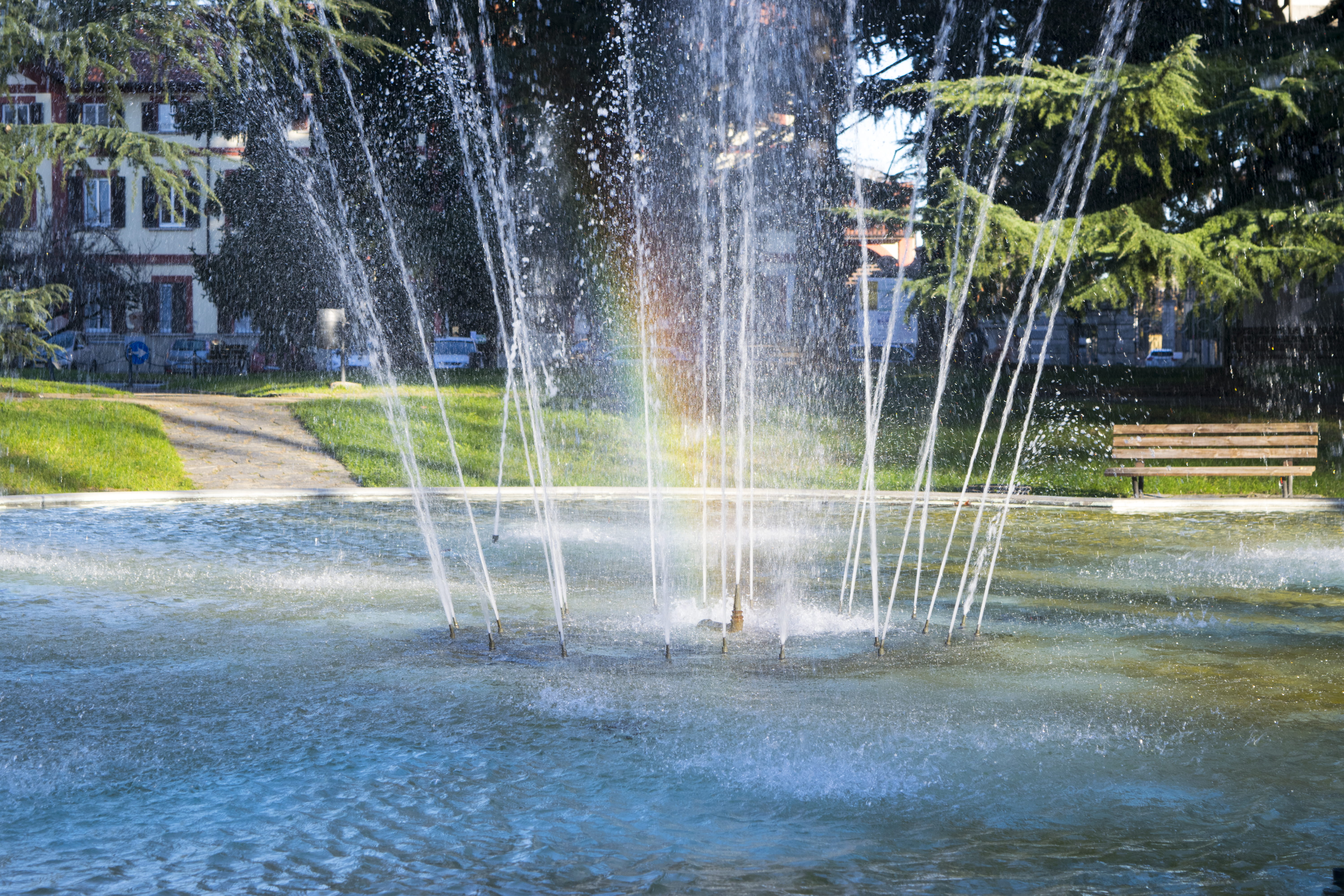 spraying, refreshment, sprinkler, tree, grass, sunny day, flowing water, italy, waterfront, nature, 5K, long exposure, day, architecture, sunlight, outdoors, HD Wallpaper