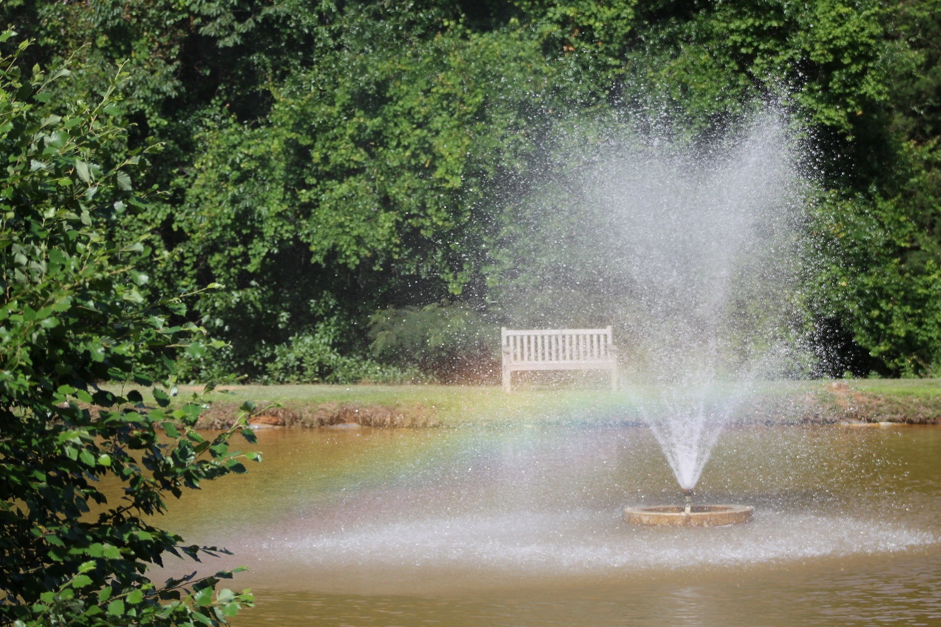 fountain, flowing water, spraying, architecture, water, nature, beauty in nature, spray, tree, rainbow, day, scenics - nature, waterfront, garden, growth, HD Wallpaper