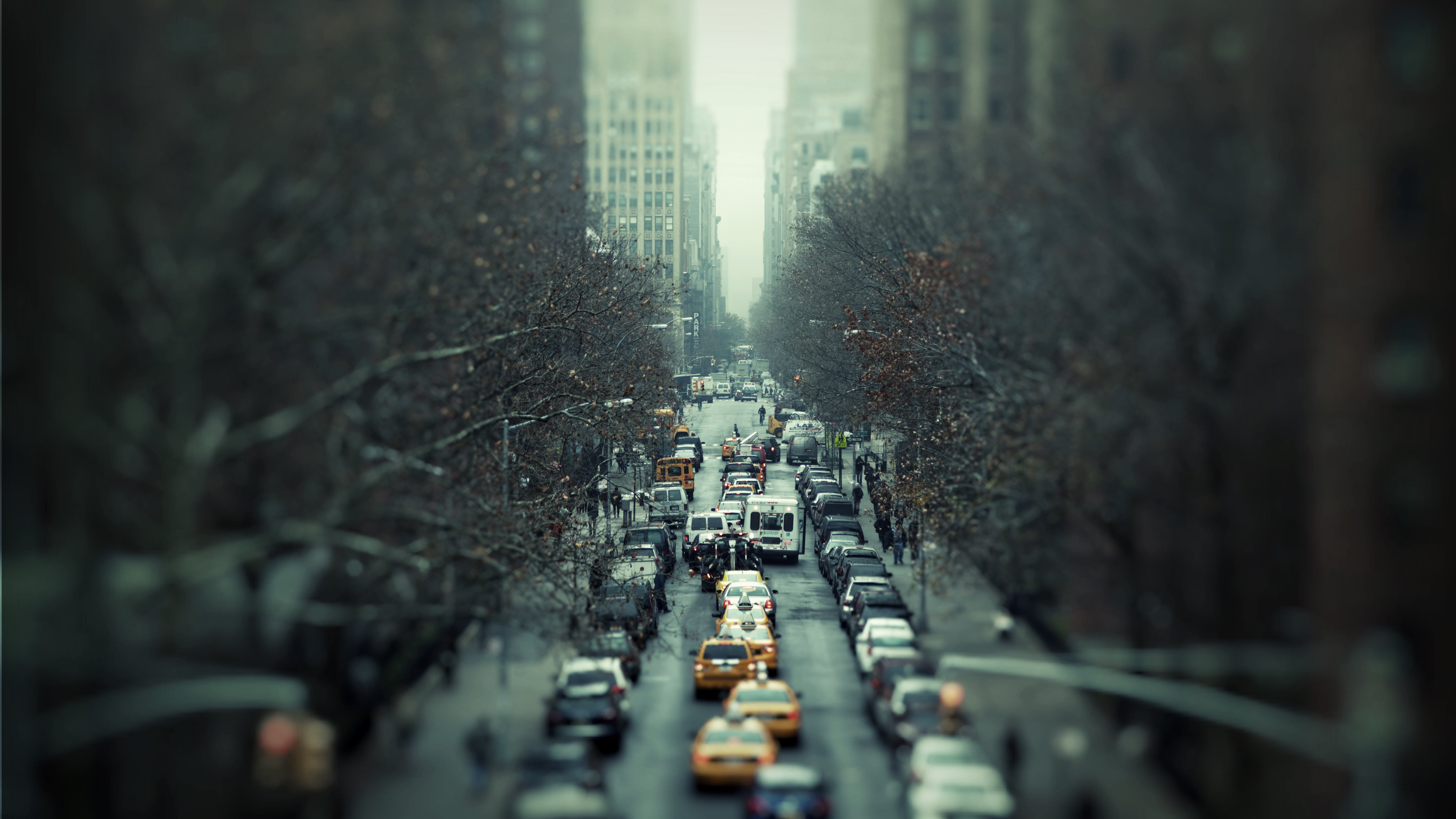 cars, focus, architecture, trip, no people, plant, trees, street, day, skyscraper, 5K, high angle view, travel, building, shallow, city, tree, transportation, HD Wallpaper
