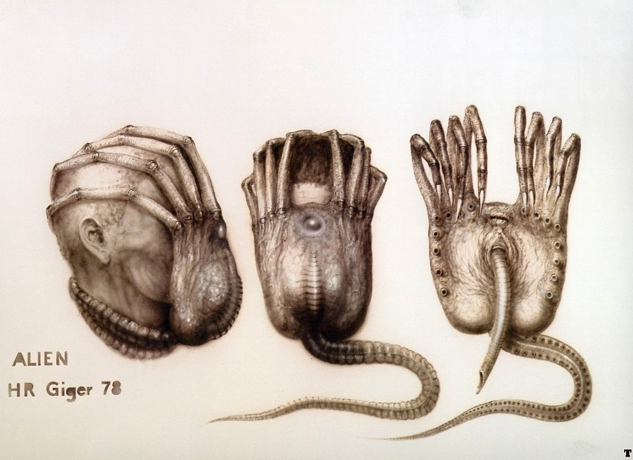 Facehugger, 720P, Alien, HD Wallpaper