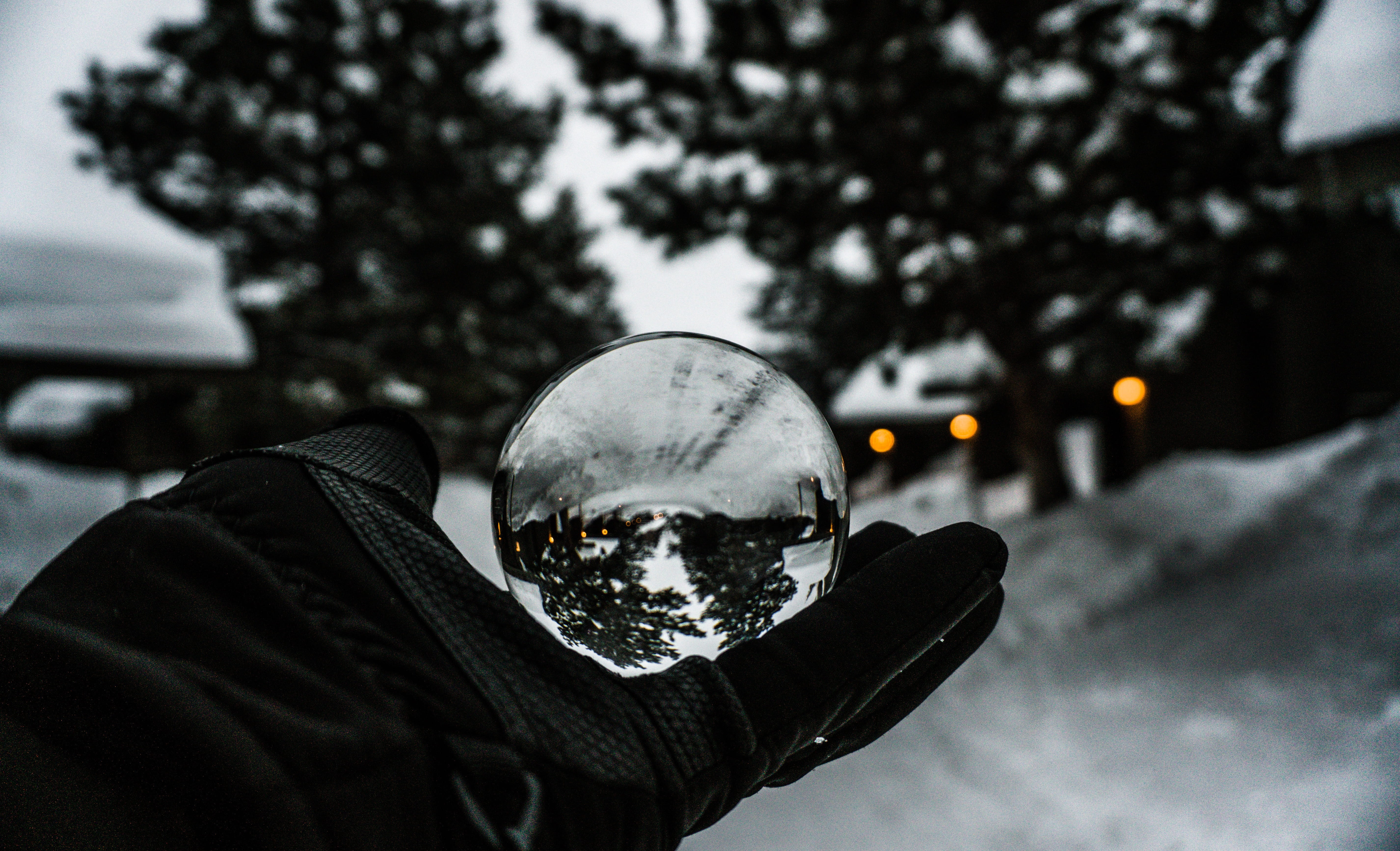 tree scape, tree, apparel, lifestyles, bubble, body part, helmet, clear, nature, unrecognizable person, light, united states, trees, one person, real people, HD Wallpaper