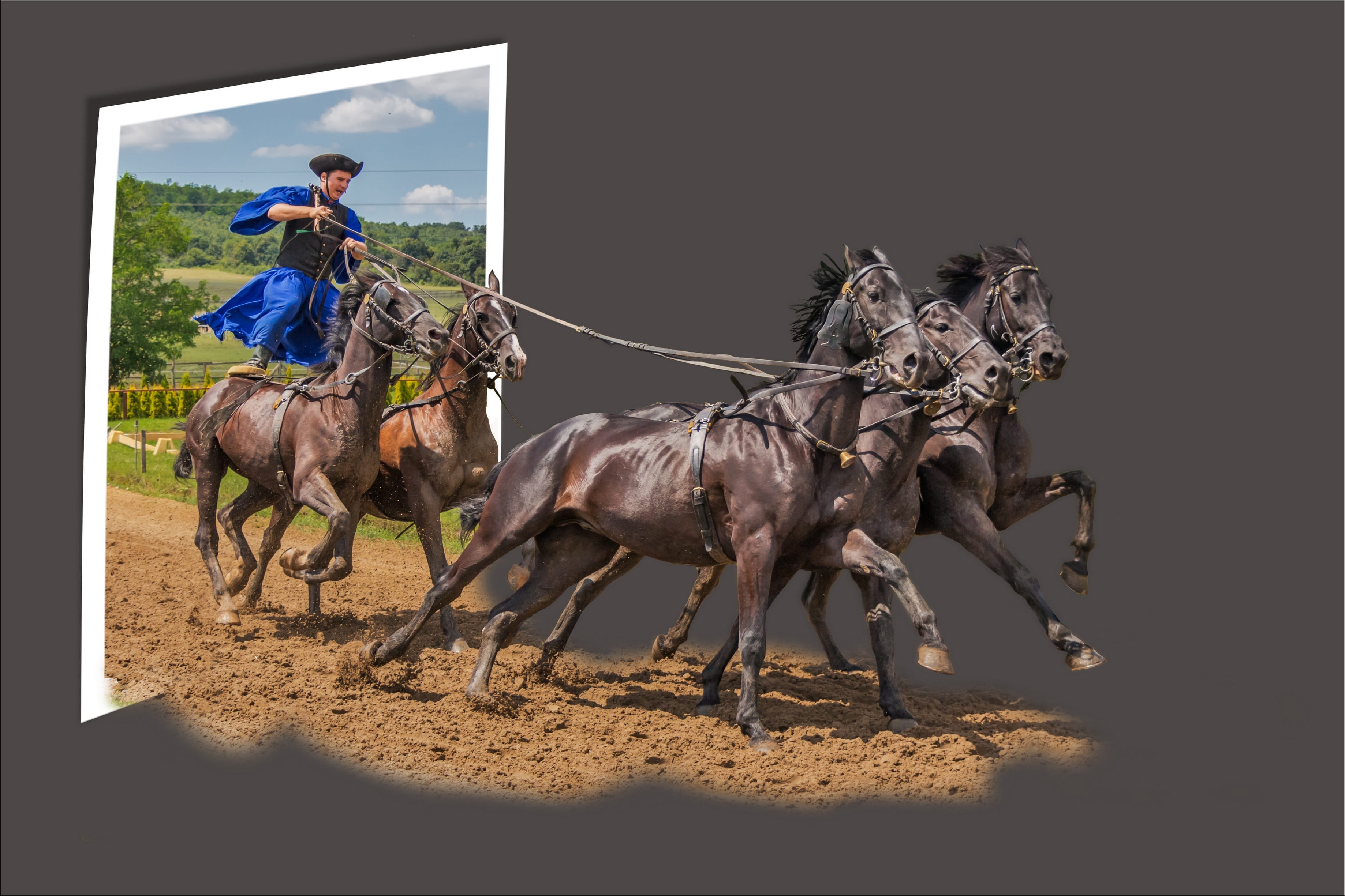 group of animals, 2K, image editing, activity, full length, horses, horse, hungary, people, domestic animals, working animal, nature, livestock, puszta, HD Wallpaper