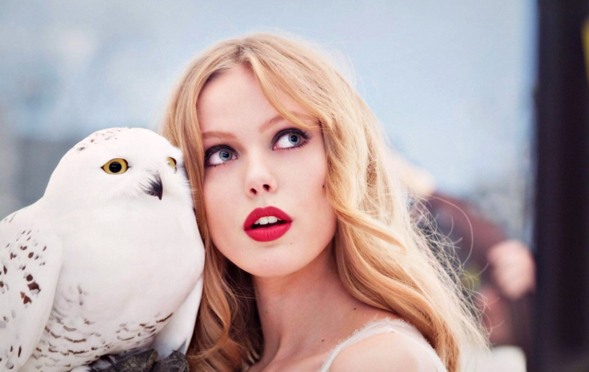 looking at camera, blue eyes, owl, Frida Gustavsson, hairstyle, young adult, looking away, adult, hair, model, beauty, one person, beautiful people, 720P, HD Wallpaper
