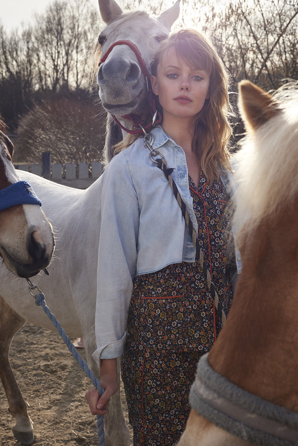 horse, 720P, looking at viewer, women outdoors, model, women with horse, Frida Gustavsson, Phone HD Wallpaper