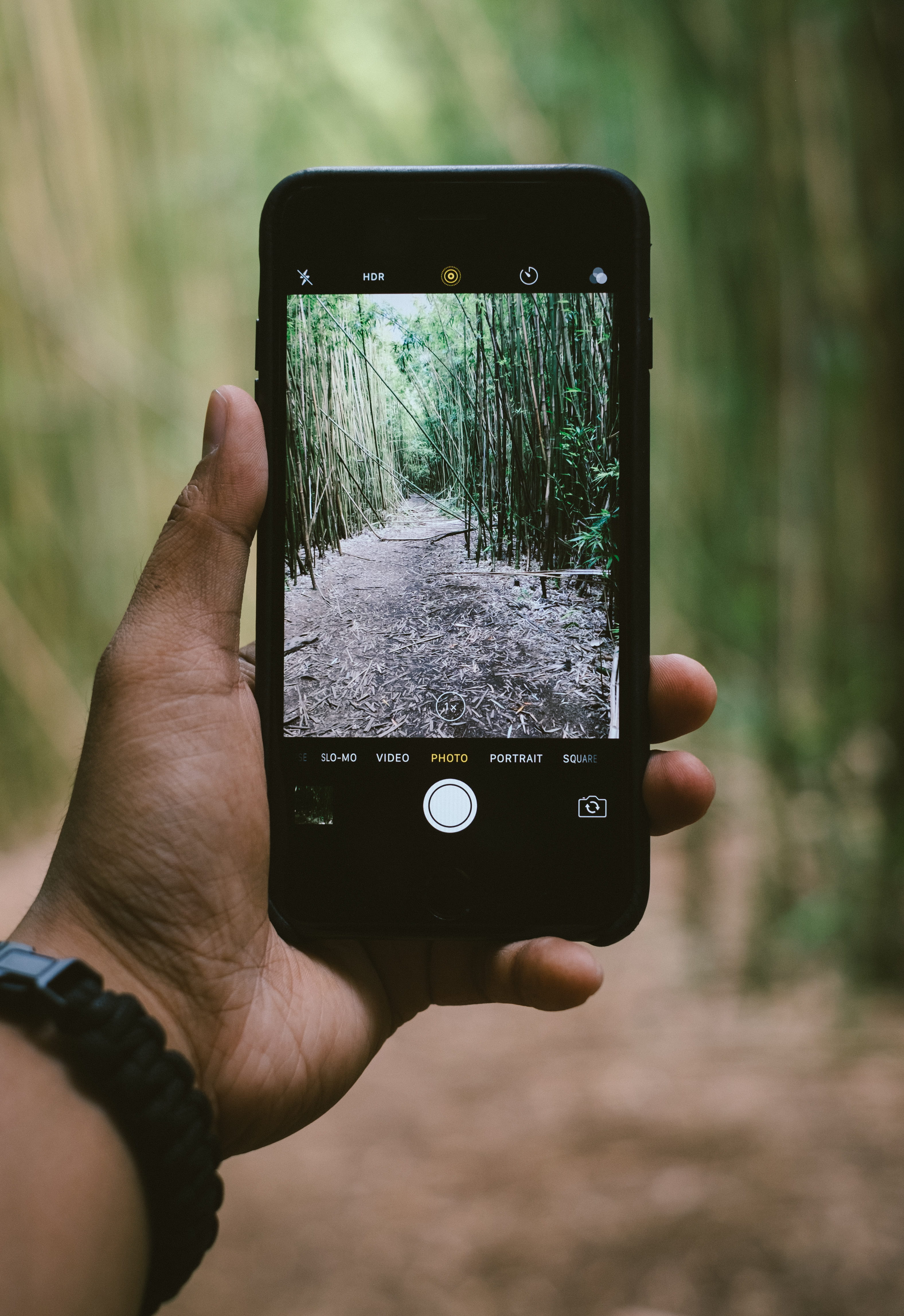 lifestyles, picture, iPhone 7, holding, activity, outdoors, photography, hand, black, communication, 4K, bamboo, photography themes, plants, iphone, photographing, Phone HD Wallpaper