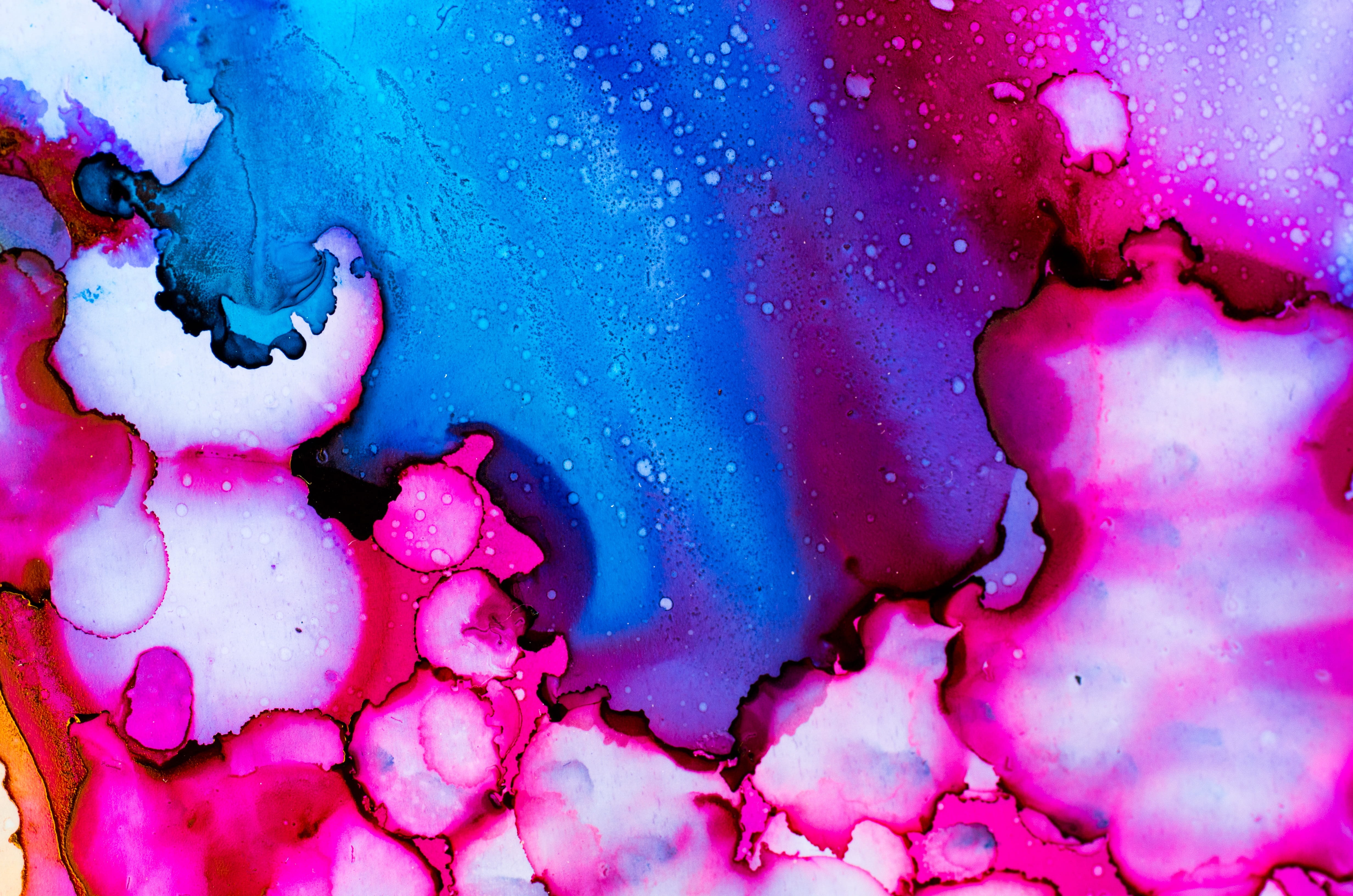 blue, purple, decoration, alcohol ink, studio shot, creativity, 4K, water, design, no people, vibrant color, color image, indoors, macro, pink color, structure, HD Wallpaper
