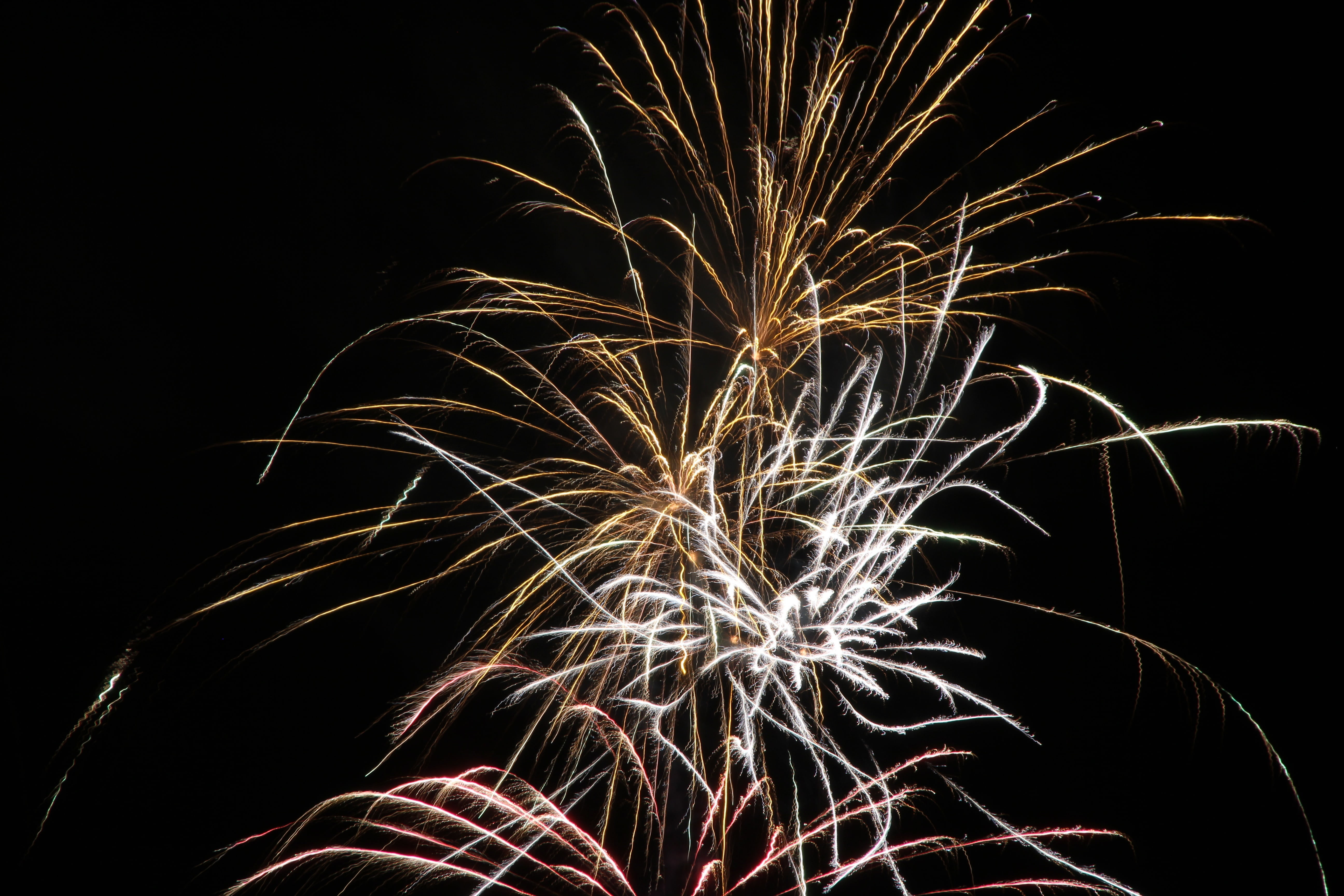 outdoors, multi colored, sylvester, nature, new years day, firework, event, blurred motion, illuminated, black background, firework display, sky, 5K, long exposure, HD Wallpaper