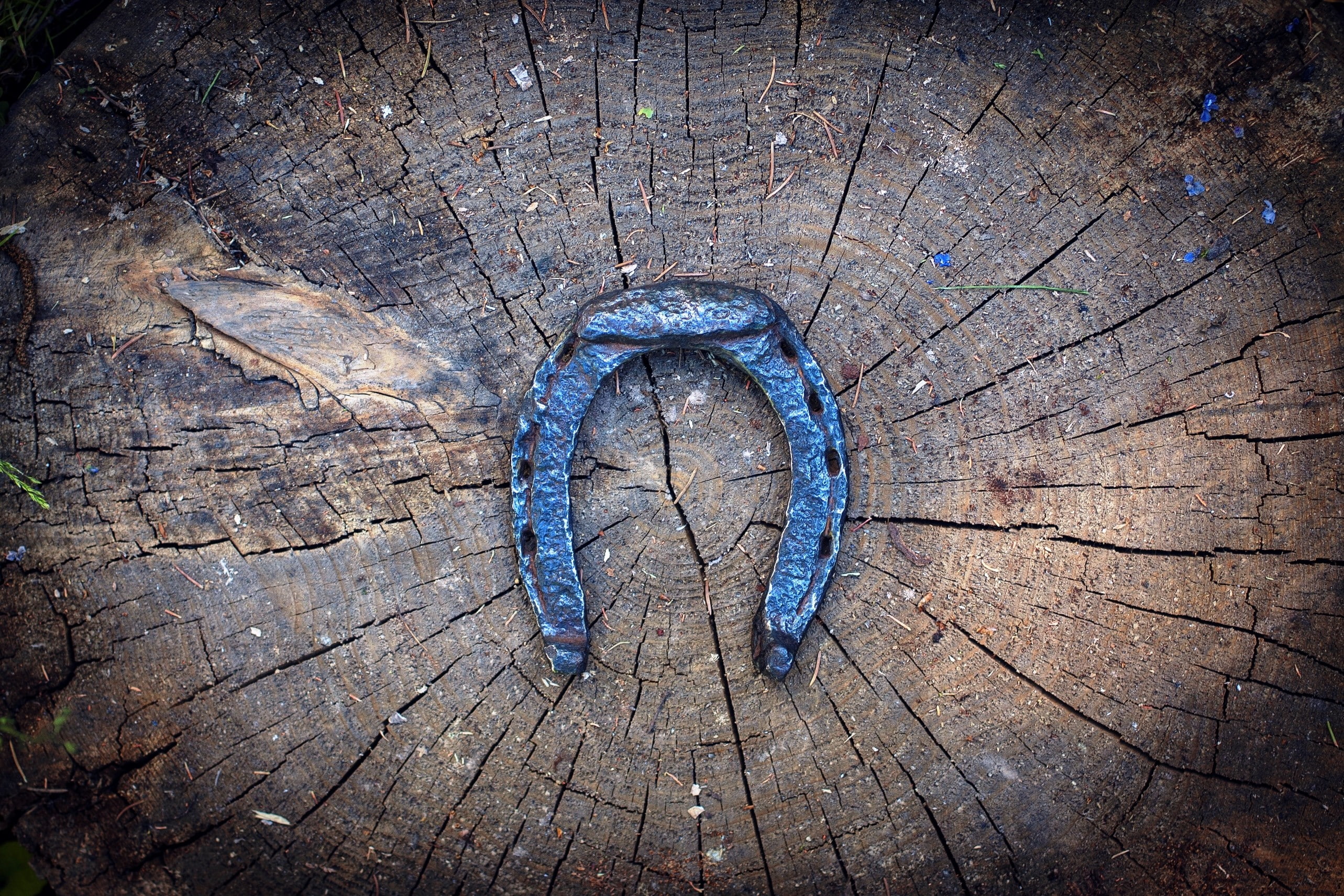 wood, metal, horseshoes, 2K, texture, HD Wallpaper