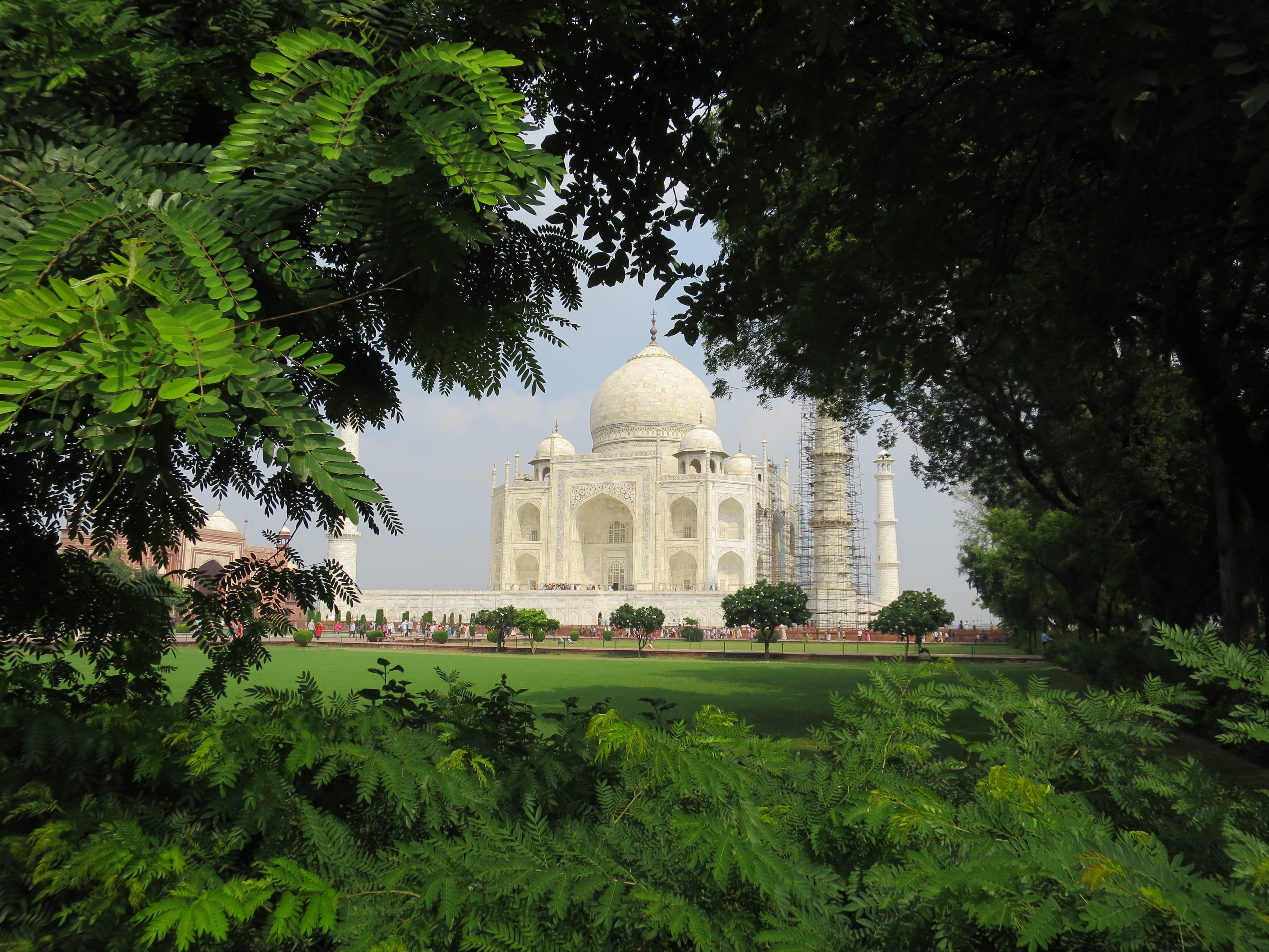green color, love, tomb, Islam, no people, history, built structure, growth, building exterior, building, emperor, day, nature, travel destinations, outdoors, HD Wallpaper