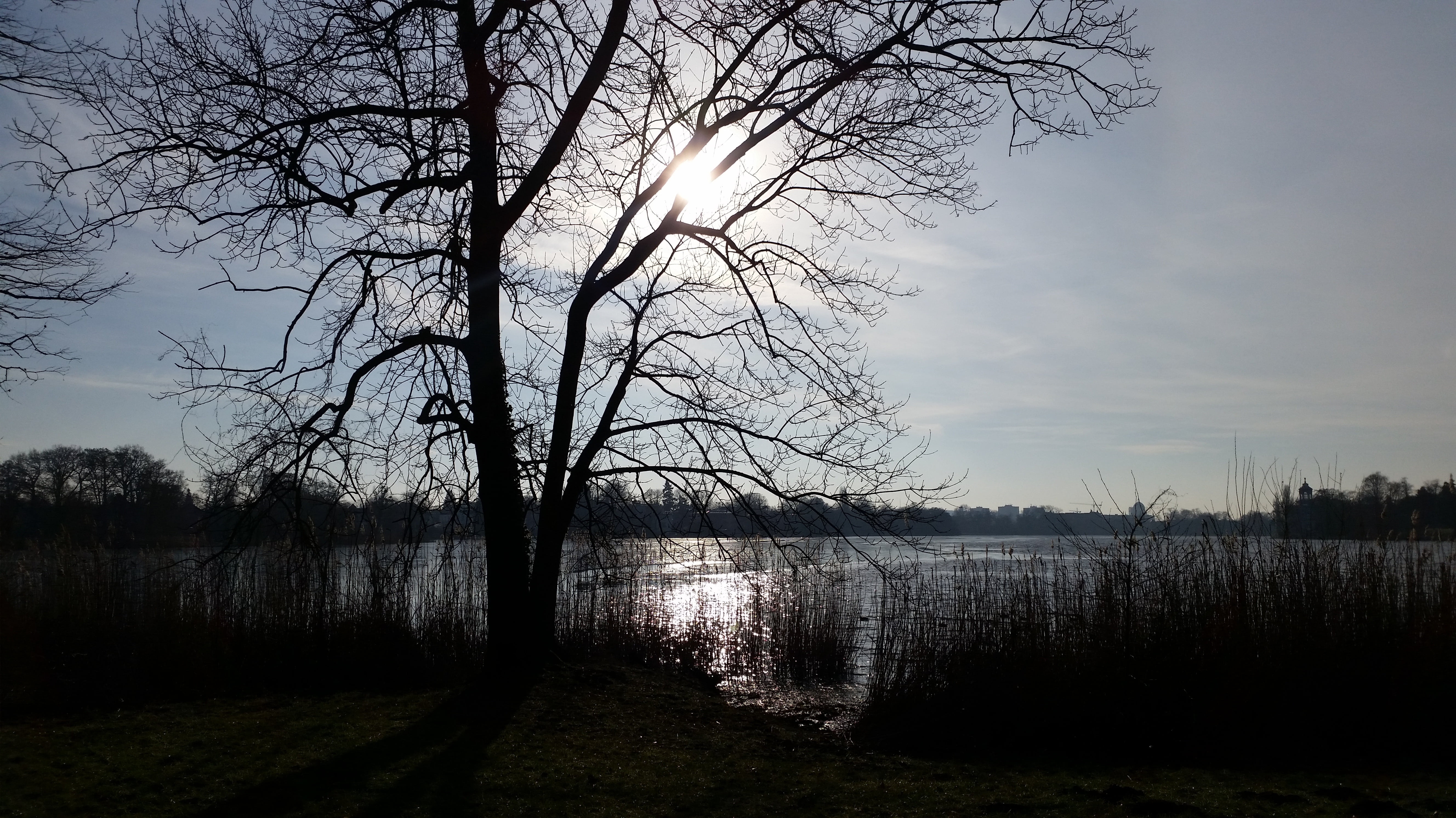5K, tranquil scene, day, atmosphere, bare tree, tourism, potsdam, non-urban scene, water, tree, places of interest, holy lake, beauty in nature, winter, HD Wallpaper