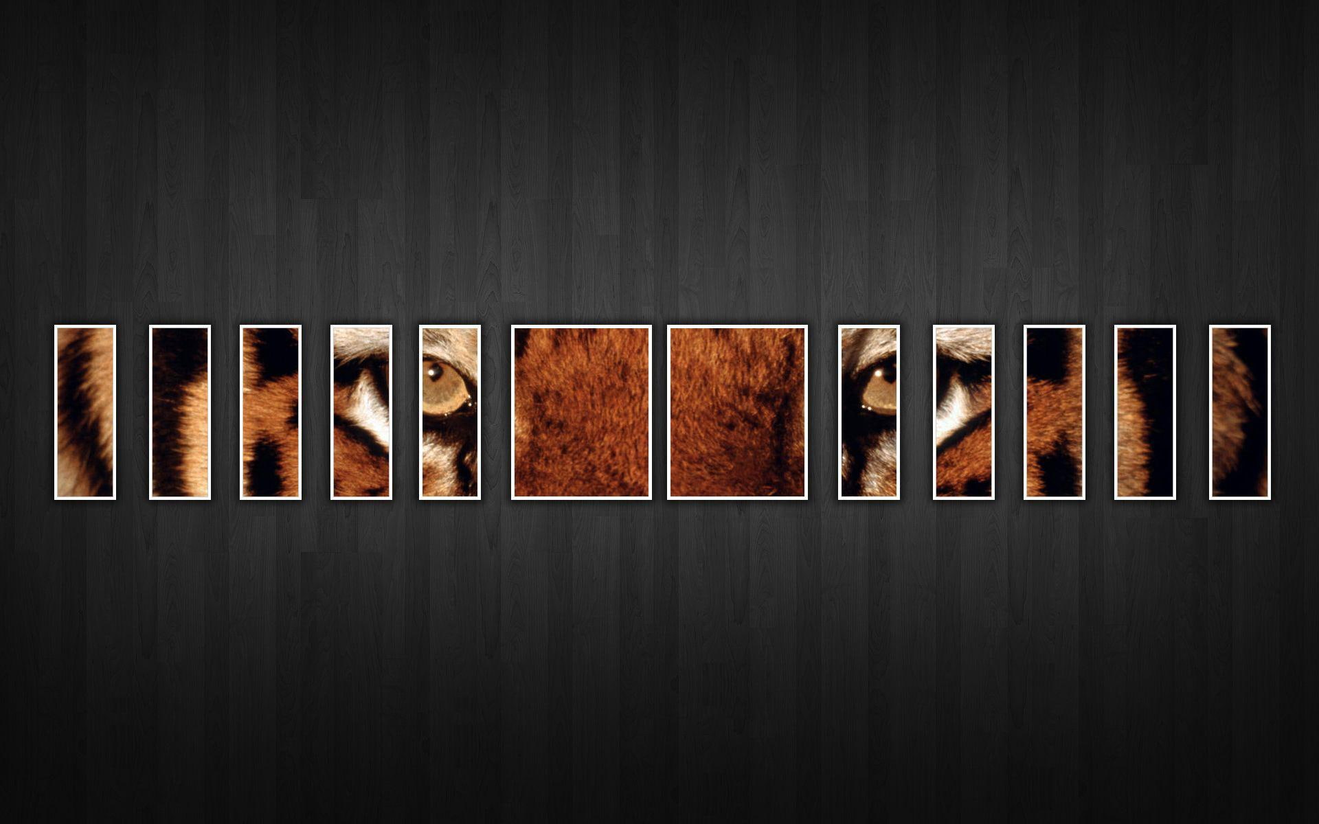 eye, s, panel, wildlife, tiger, 1920x1200, depicting, painting, panels, digital art, 1080P, HD Wallpaper