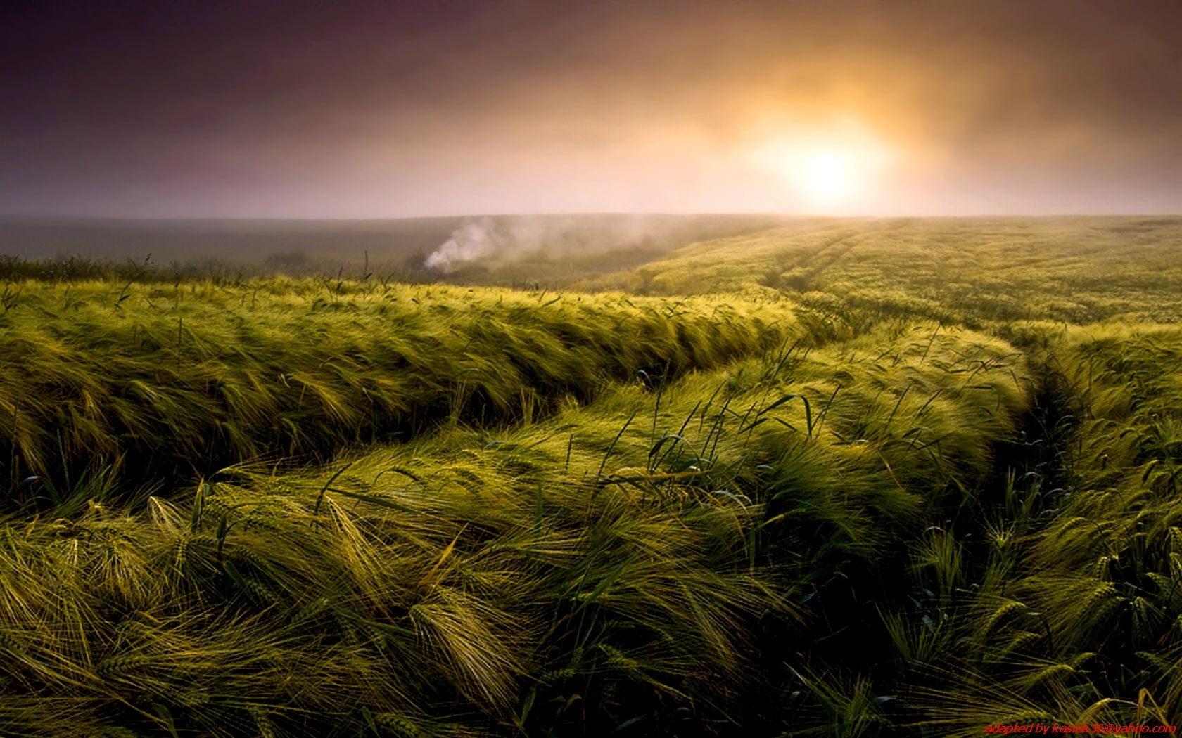 scenics - nature, crop, agriculture, tranquility, no people, digital art, nature, outdoors, growth, beauty in nature, illustration, tranquil scene, land, HD Wallpaper