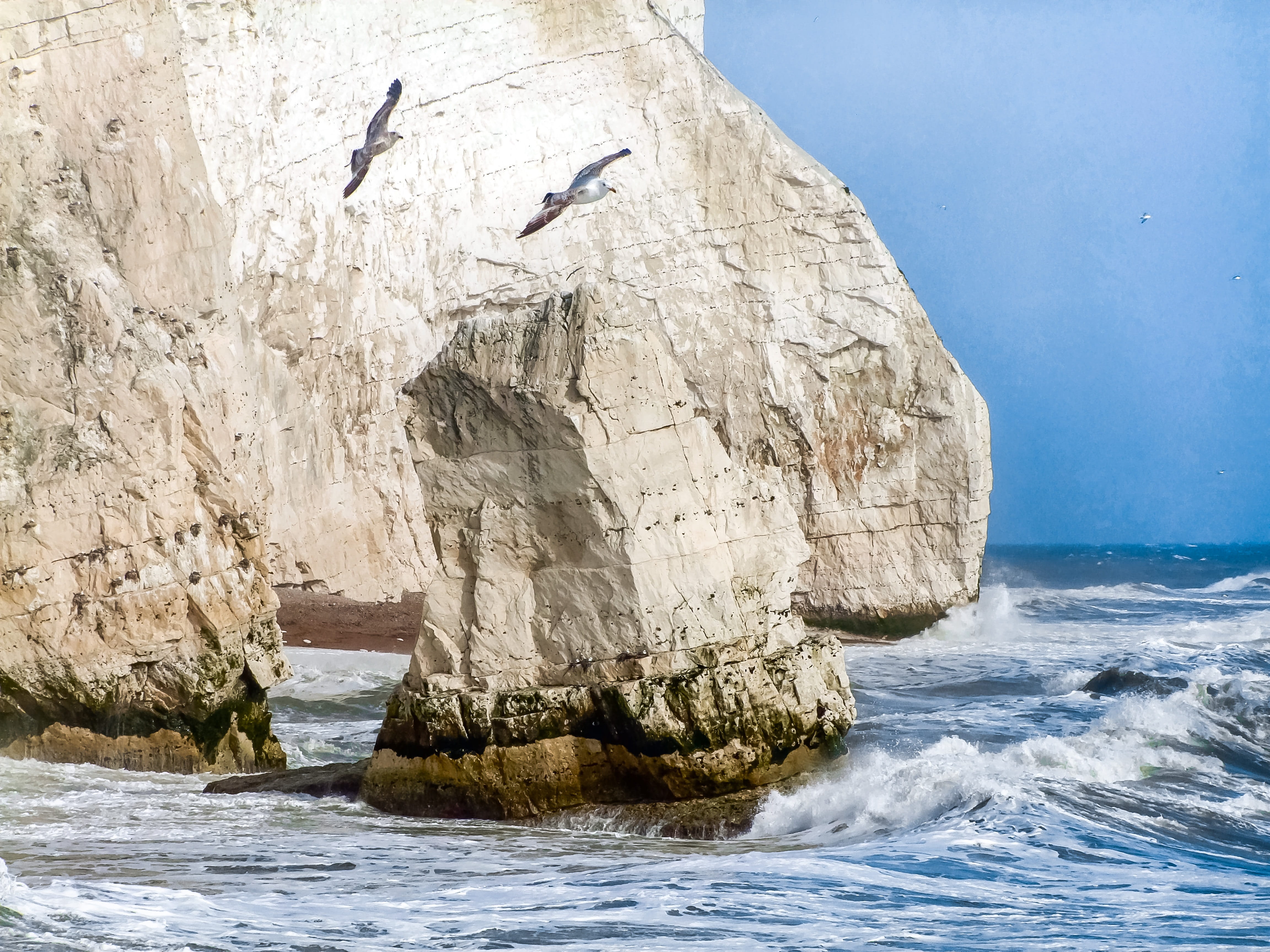 rock, cliff, east sussex, no people, 4K, england, day, stack rock, tranquility, newhaven, scenics - nature, beauty in nature, outdoors, rock - object, HD Wallpaper